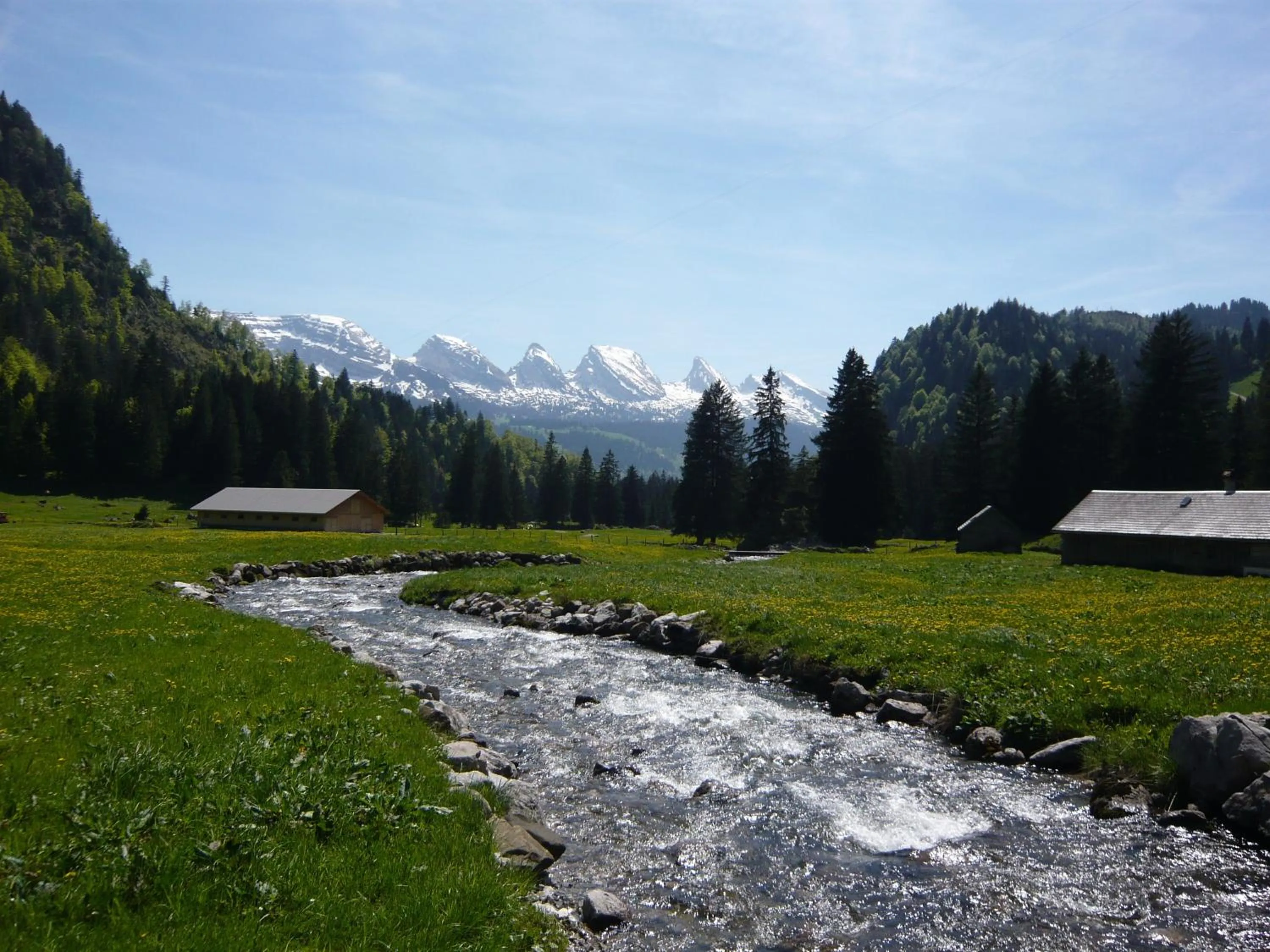 Area and facilities in Zimmer & z'Morgä Schönenboden