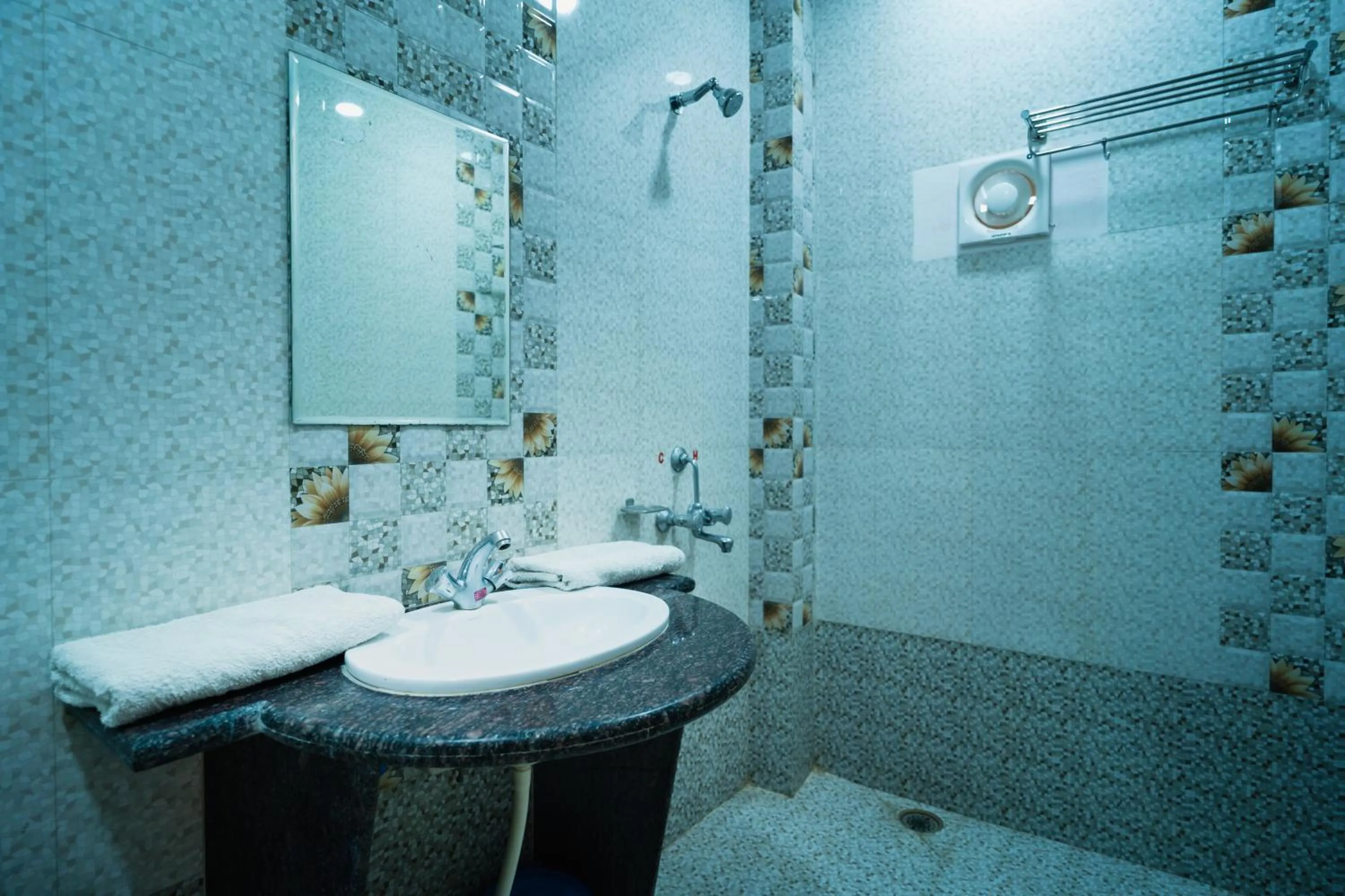 Shower in Hotel Akashdeep - Located City Centre