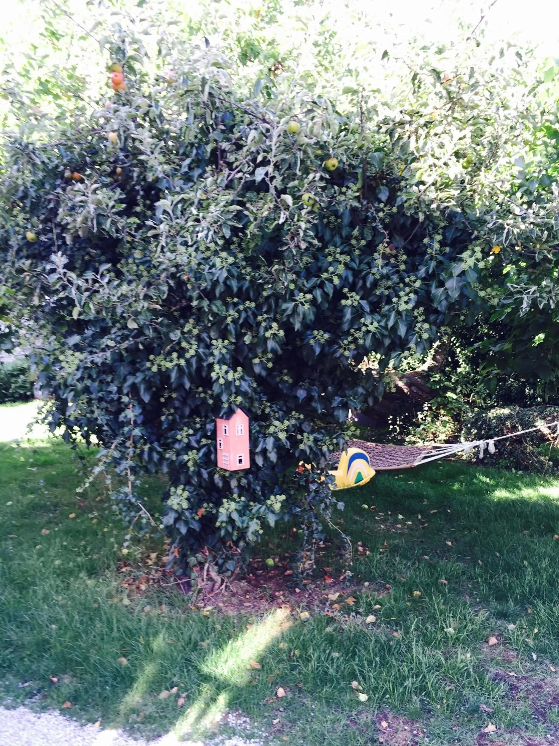 Day in Mullbärsgårdens Bed and Breakfast