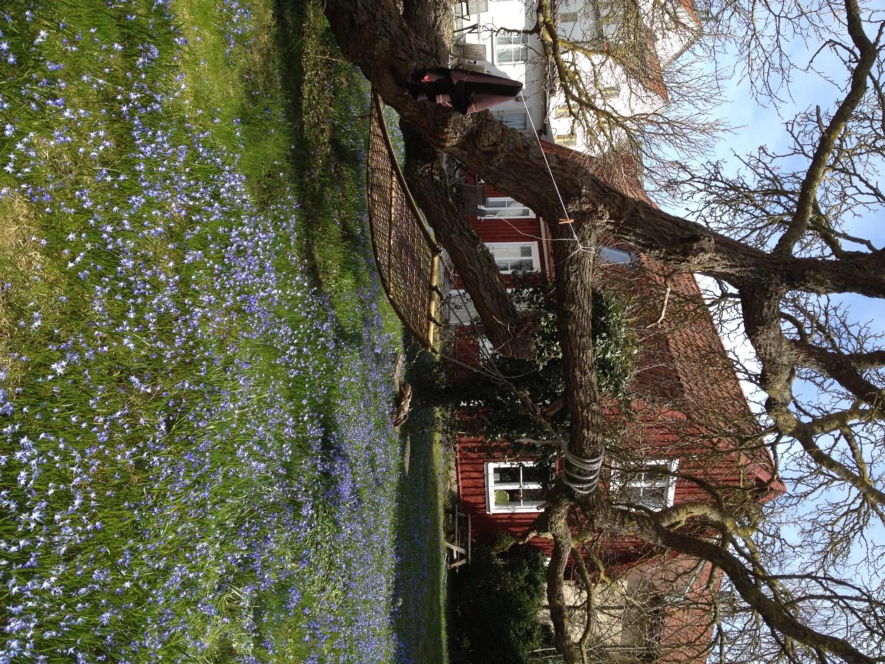 Garden in Mullbärsgårdens Bed and Breakfast