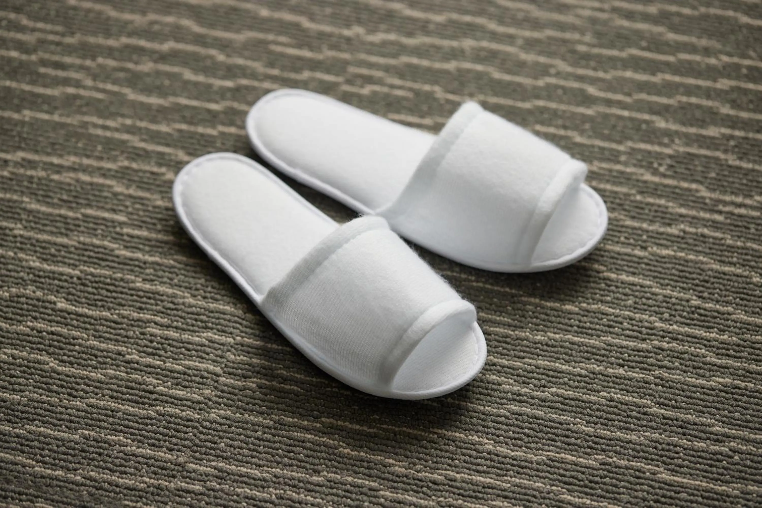 Photo of the whole room in Kobe Motomachi Tokyu REI Hotel