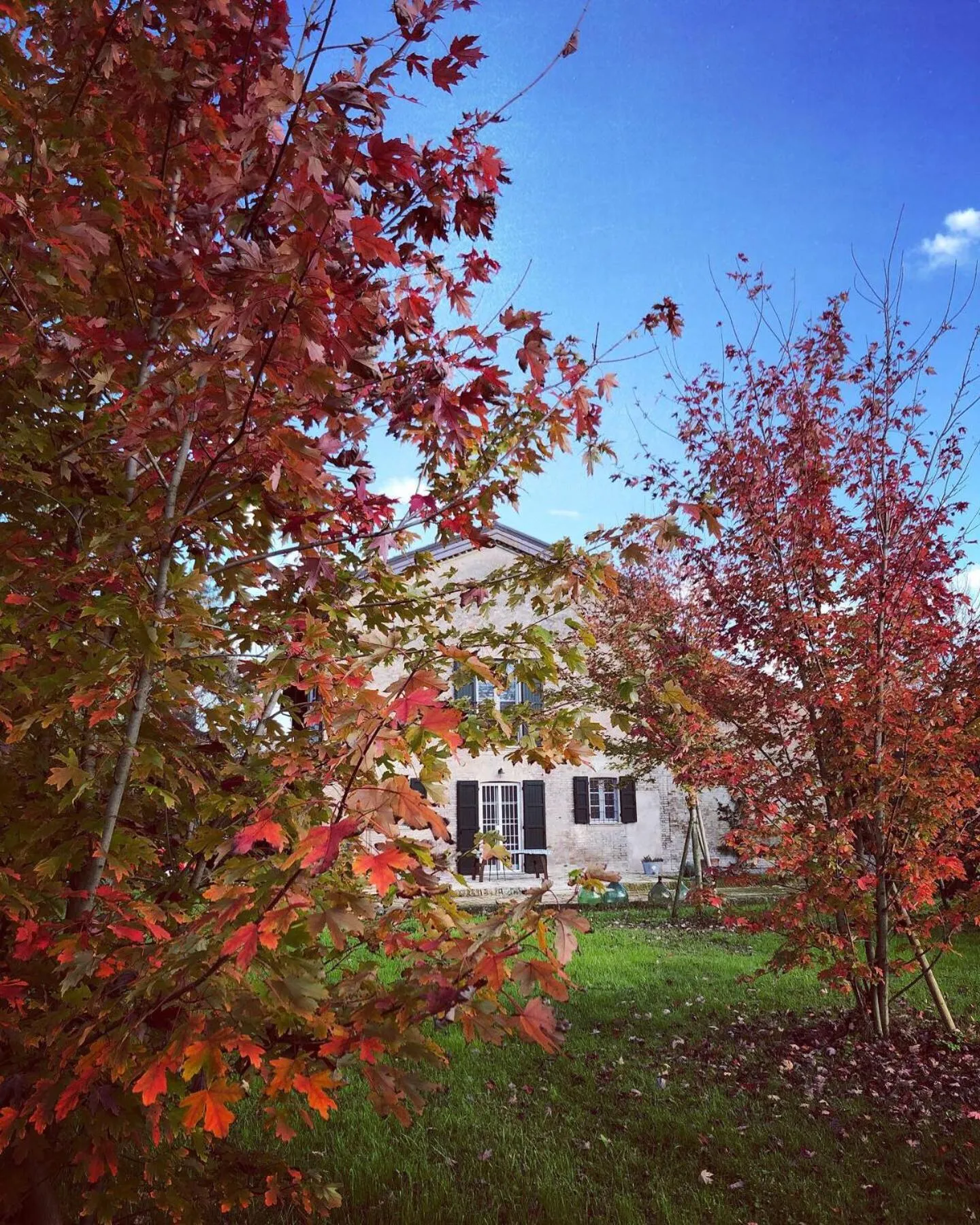 Property building in B&B Podere Merlo