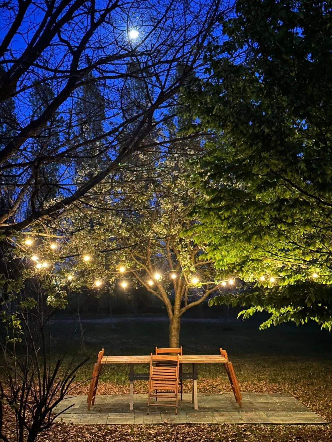 Swimming pool in B&B Podere Merlo