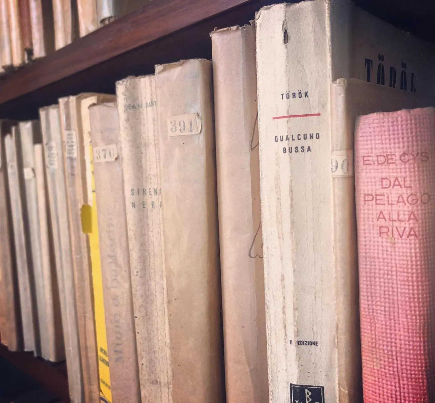 Library in B&B Podere Merlo