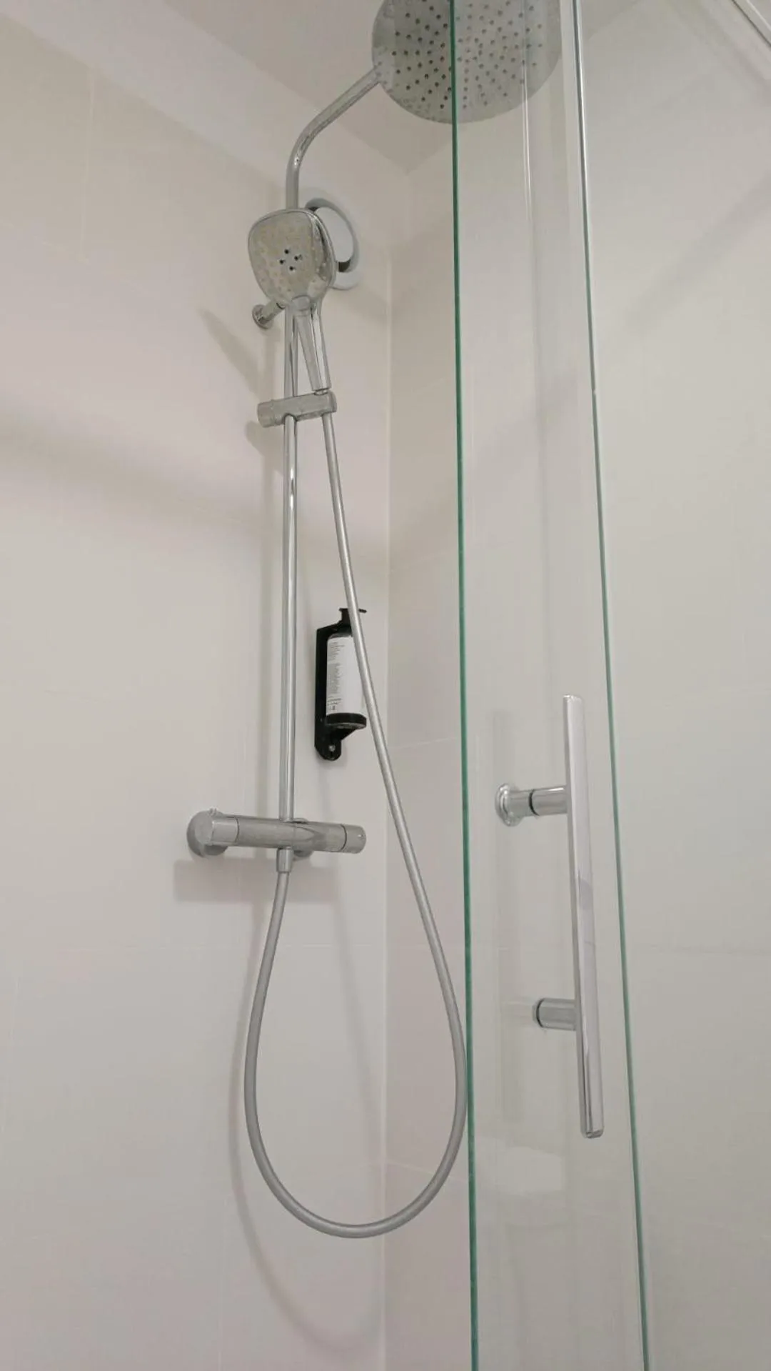 Shower in Hôtel Le Lion D'or