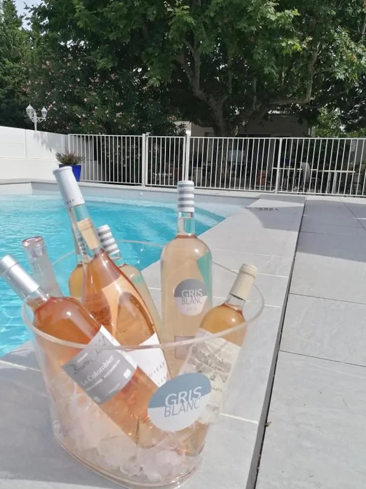 Logis Le Printemps Hôtel Restaurant - Montélimar