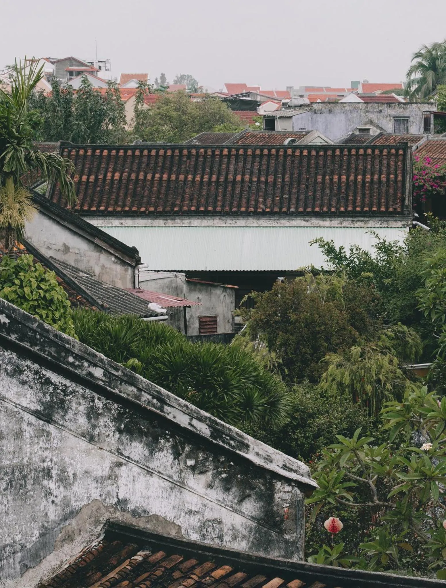 Natural landscape in Cozy Savvy Hoi An - The Quintessence of Exquisite Retreat