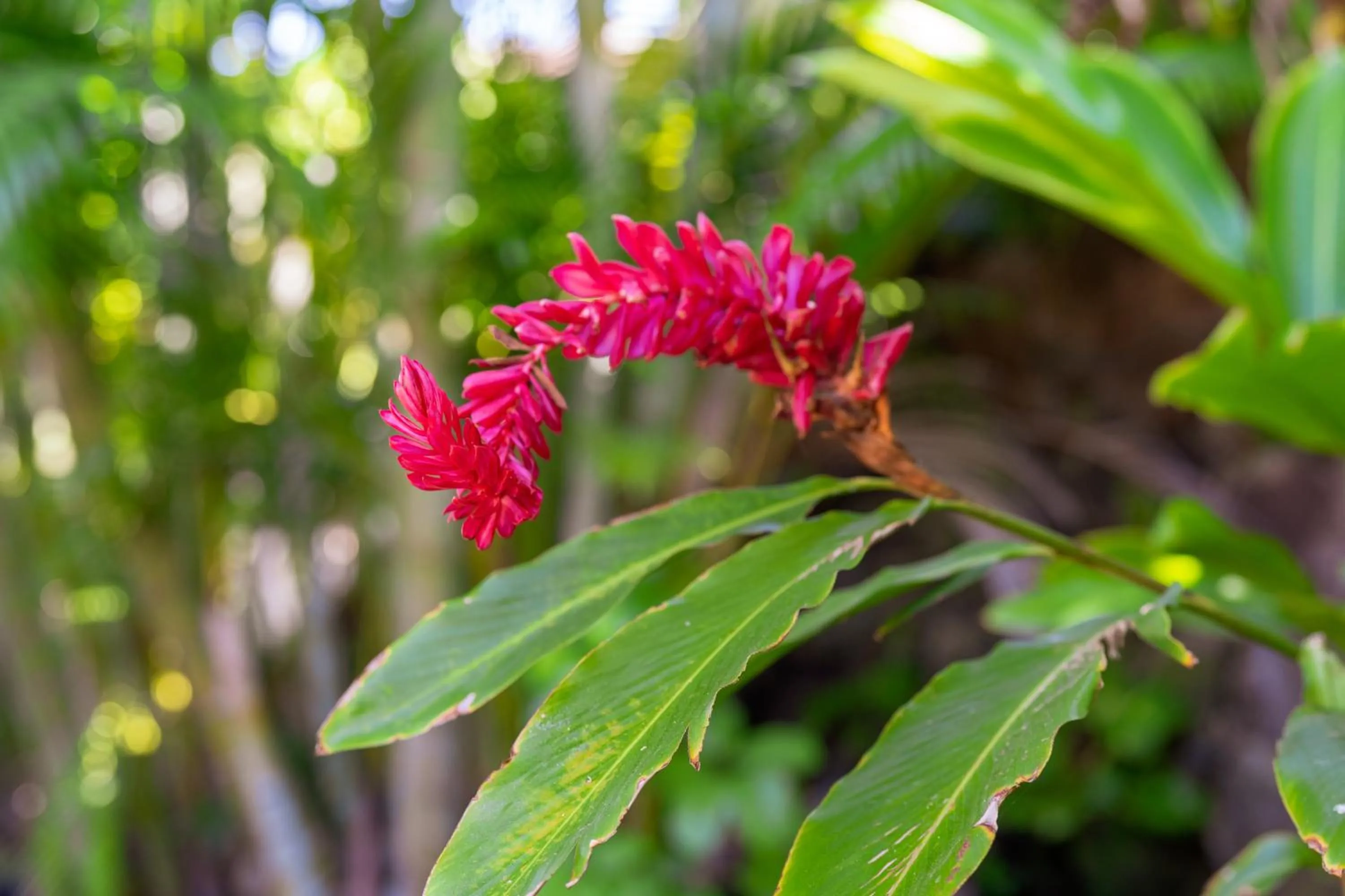 Noahs Hideaway Luxury B&B