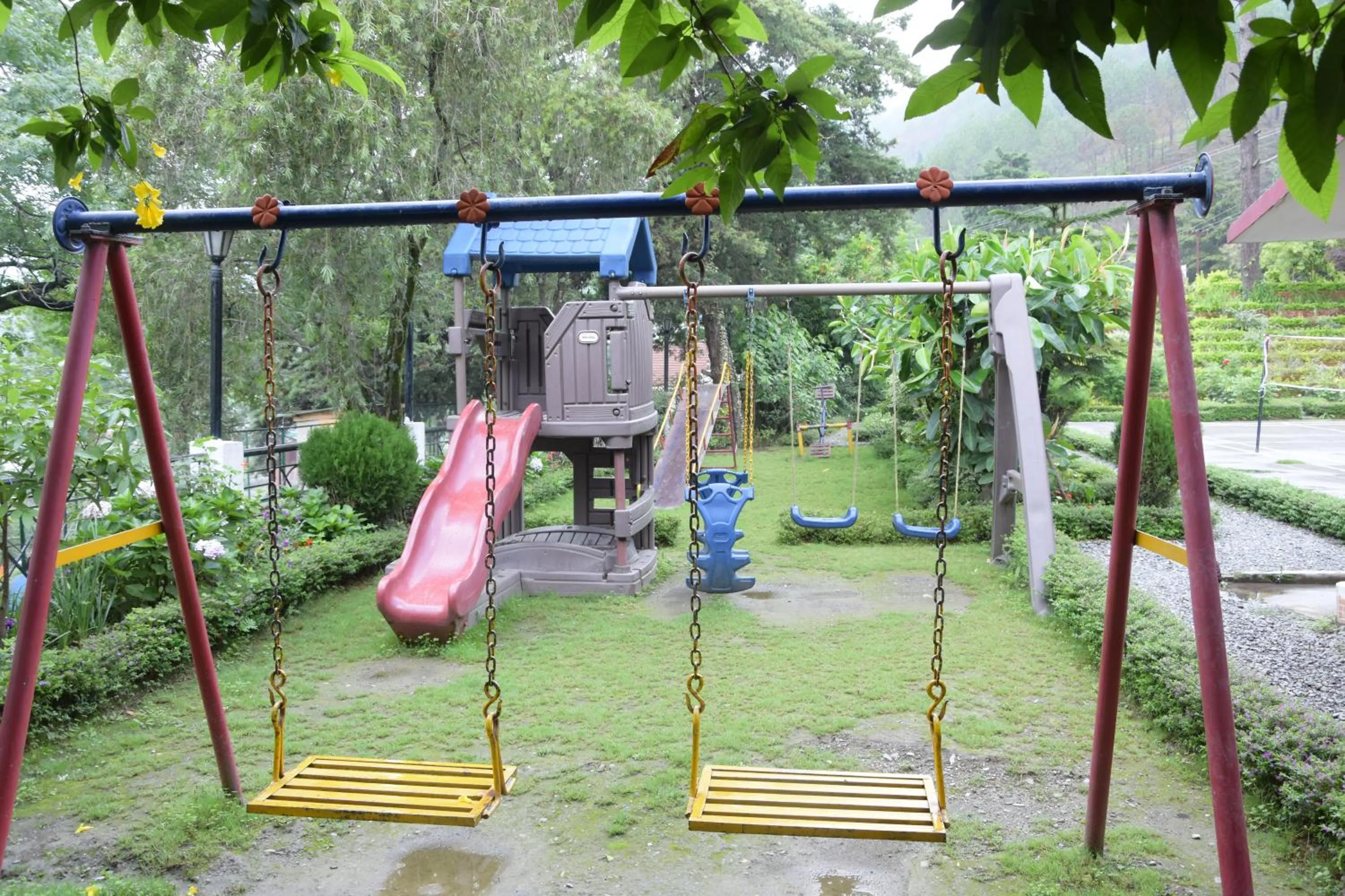 Spring in 8fold-Pinecrest By LaRiSa, Bhimtal