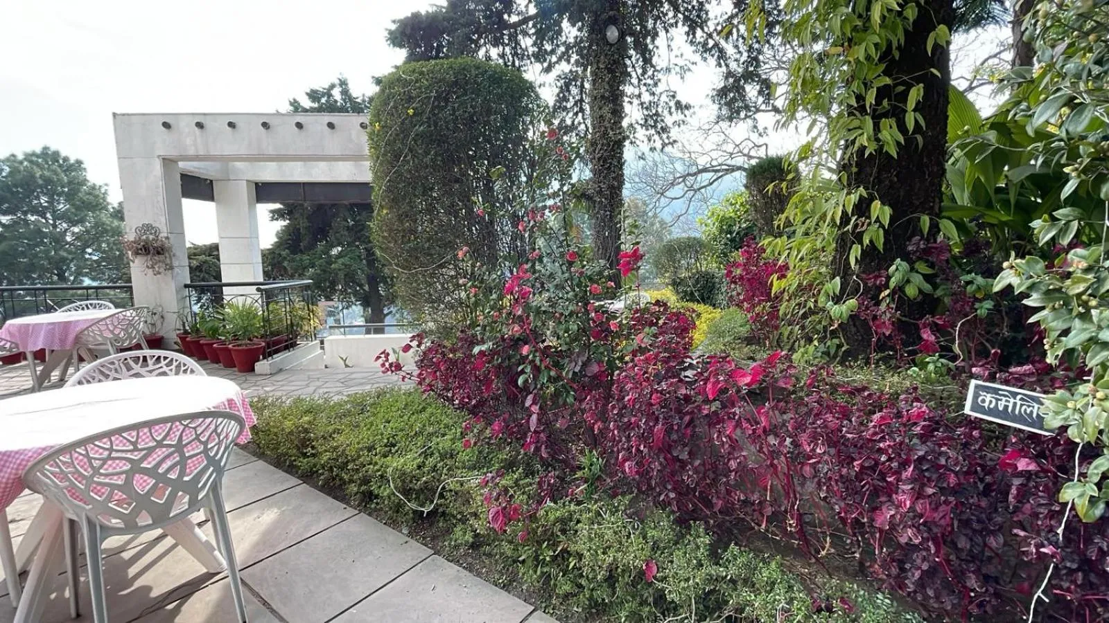 8fold-Pinecrest By LaRiSa, Bhimtal