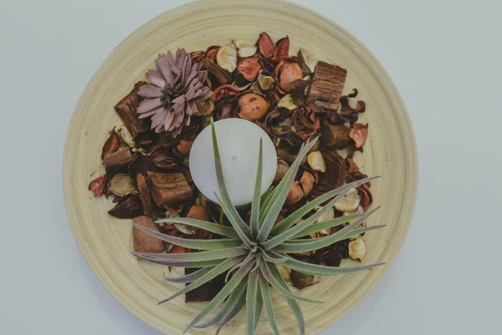 Decorative detail in Hotel Papagalos