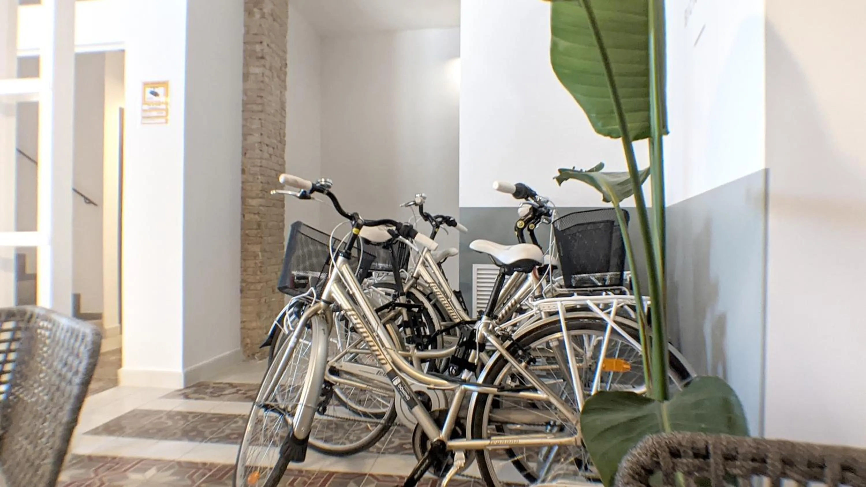 Cycling in Original Domino House