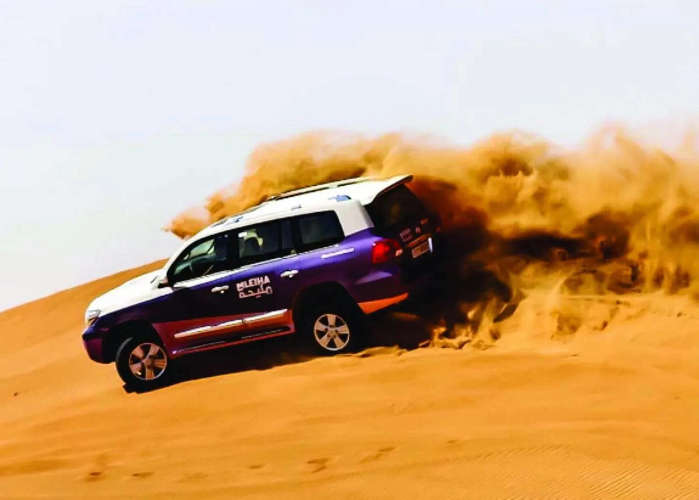 Activities in Al Badayer Retreat by Sharjah Collection