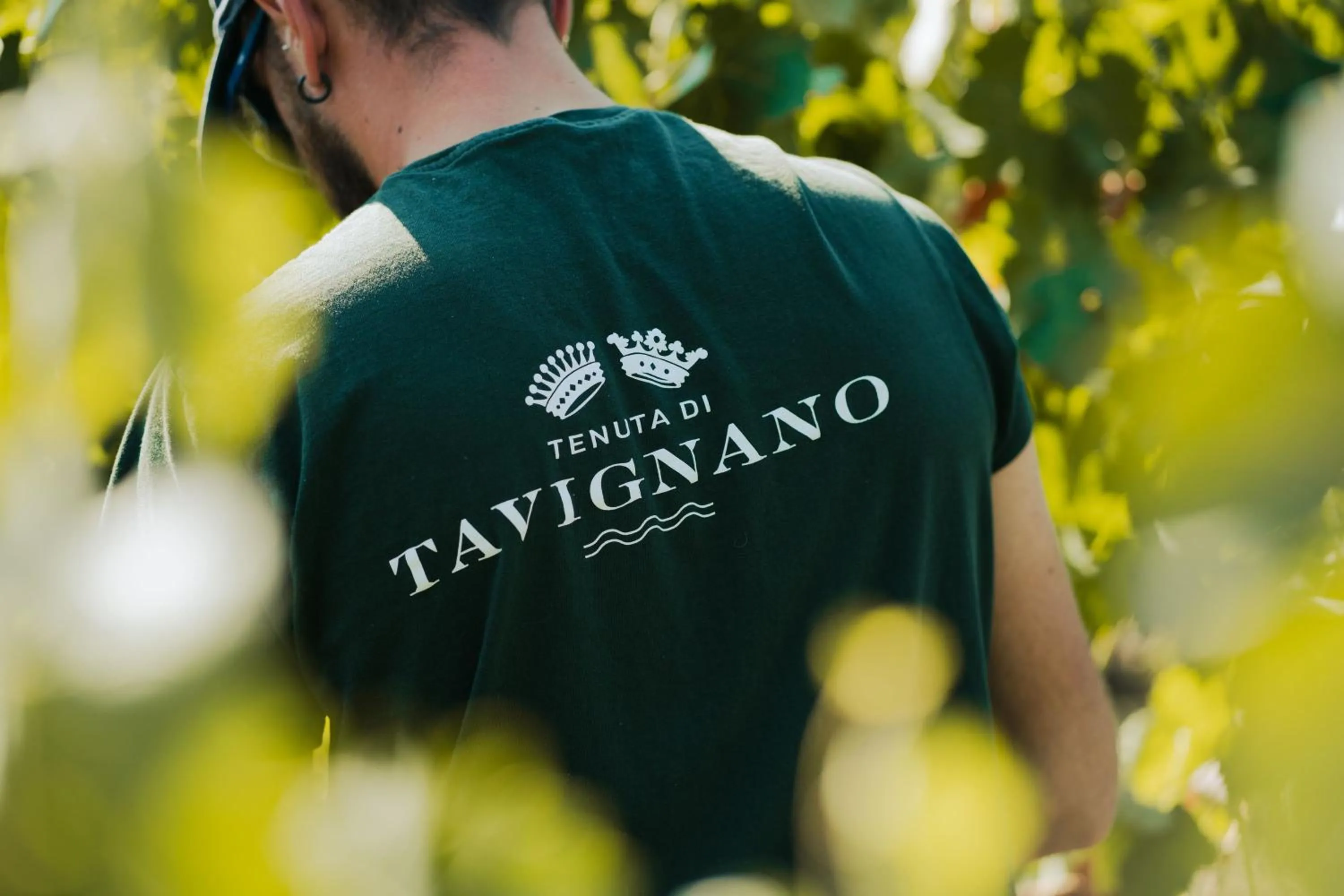 Property logo or sign in La Guest House della Tenuta di Tavignano