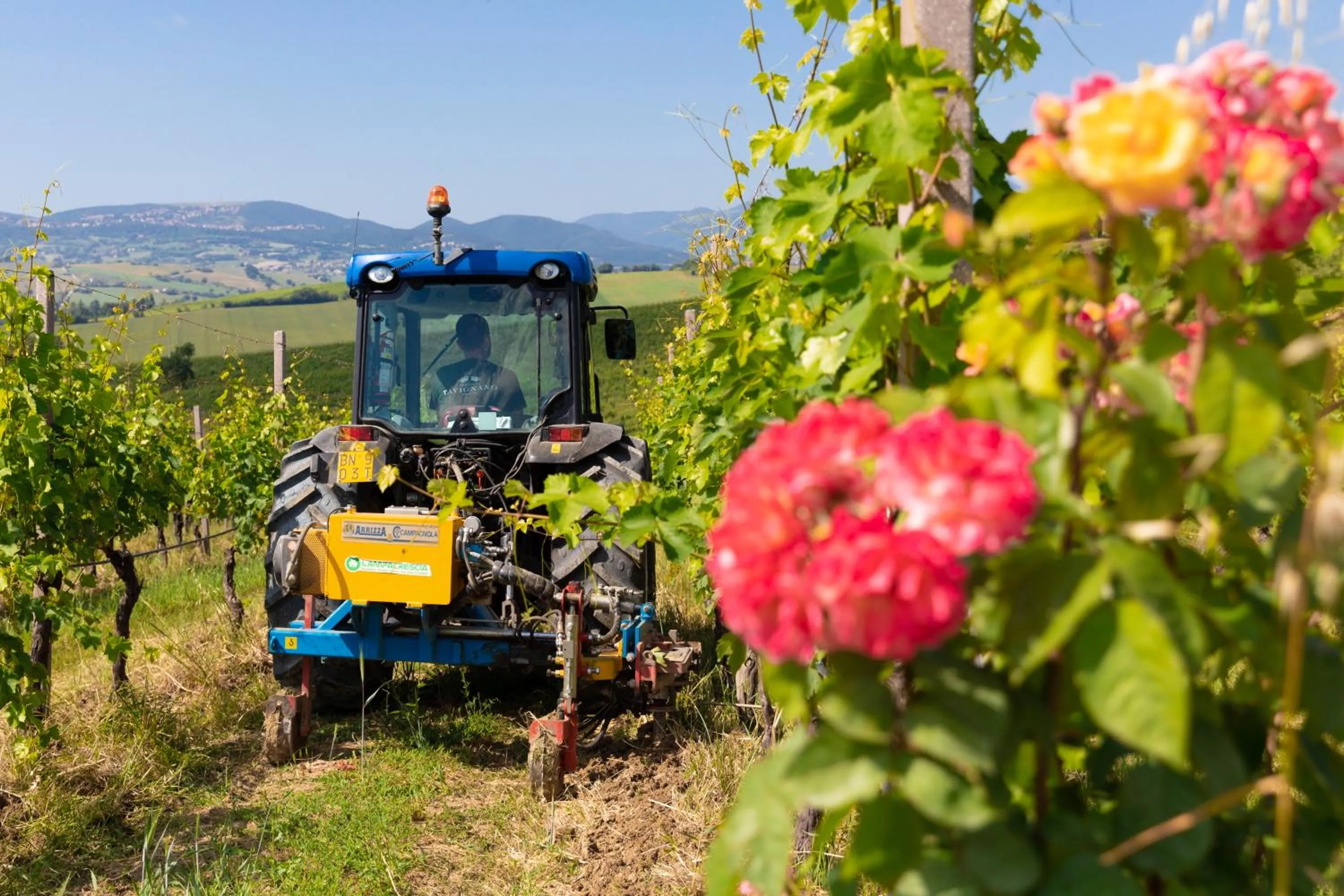 Natural landscape in La Guest House della Tenuta di Tavignano