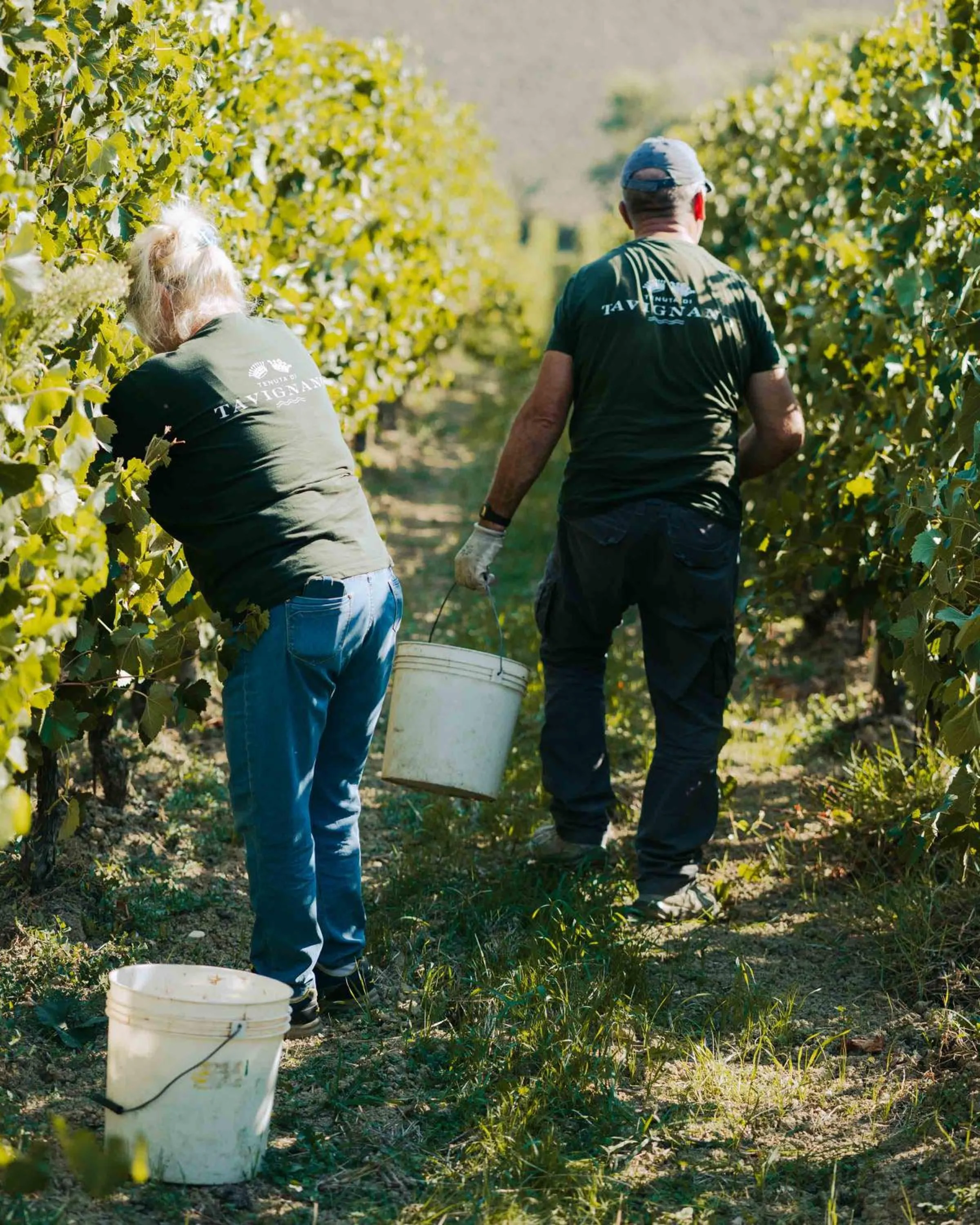Natural landscape in La Guest House della Tenuta di Tavignano