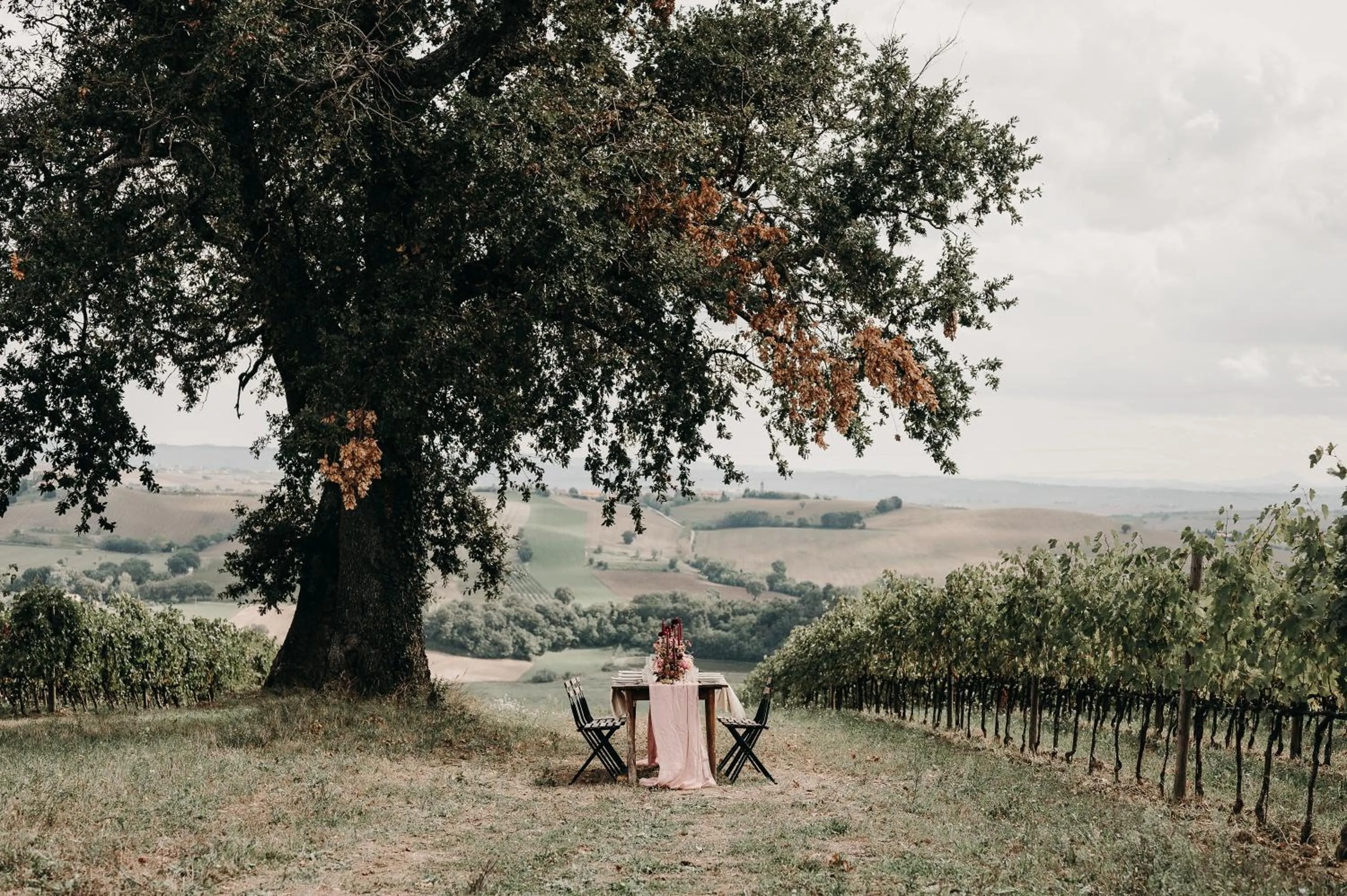 Natural landscape in La Guest House della Tenuta di Tavignano
