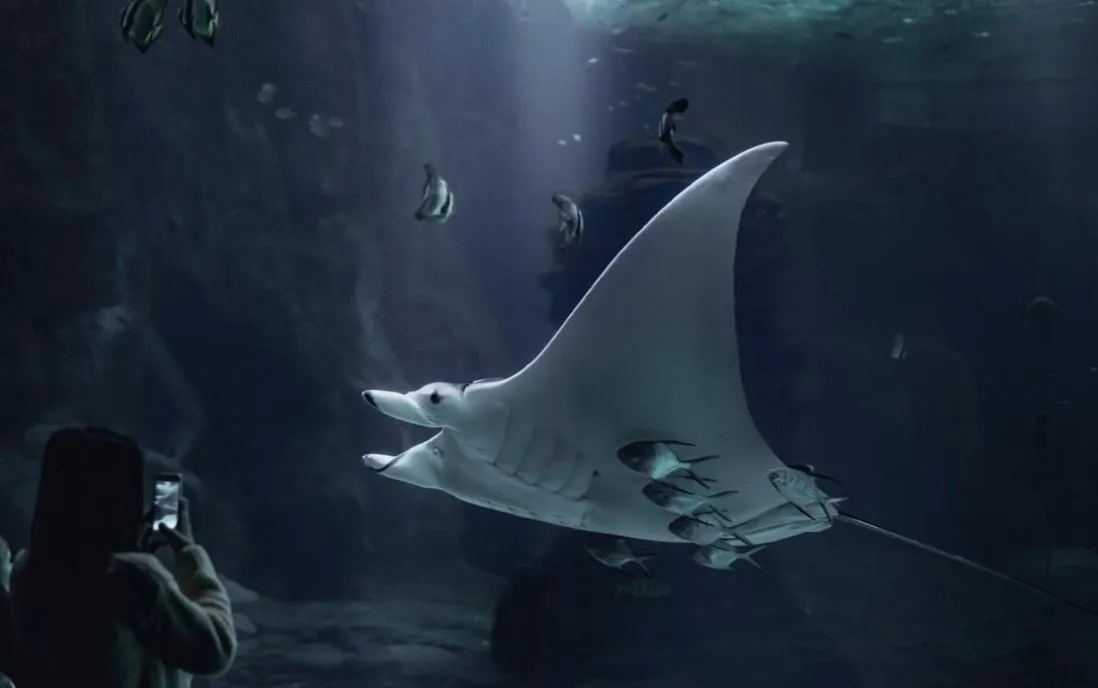 Activities in Hôtel OpalOriental Boulogne Sur Mer - gare ville et centre