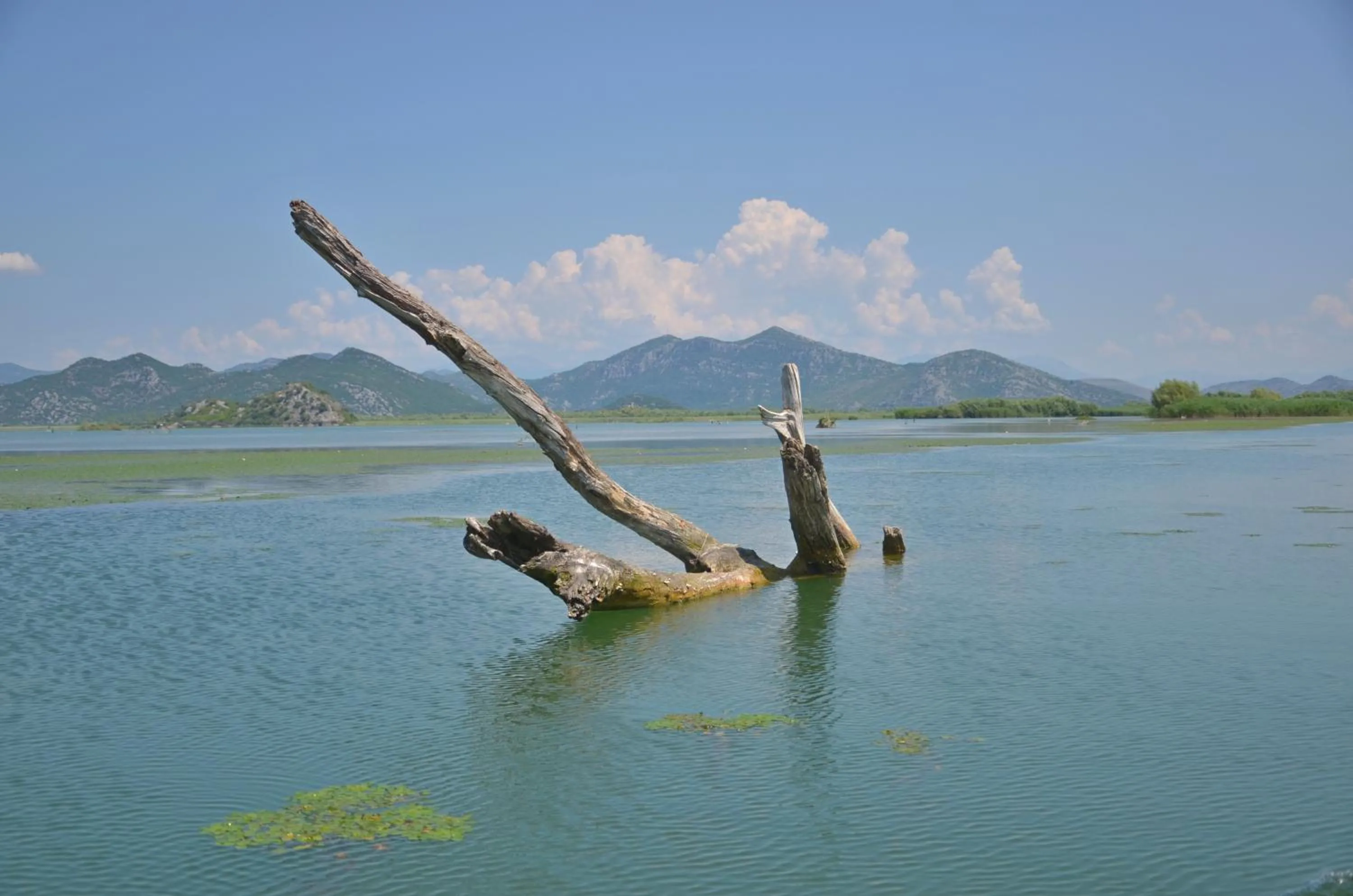 Natural landscape in Hotel Pelikan