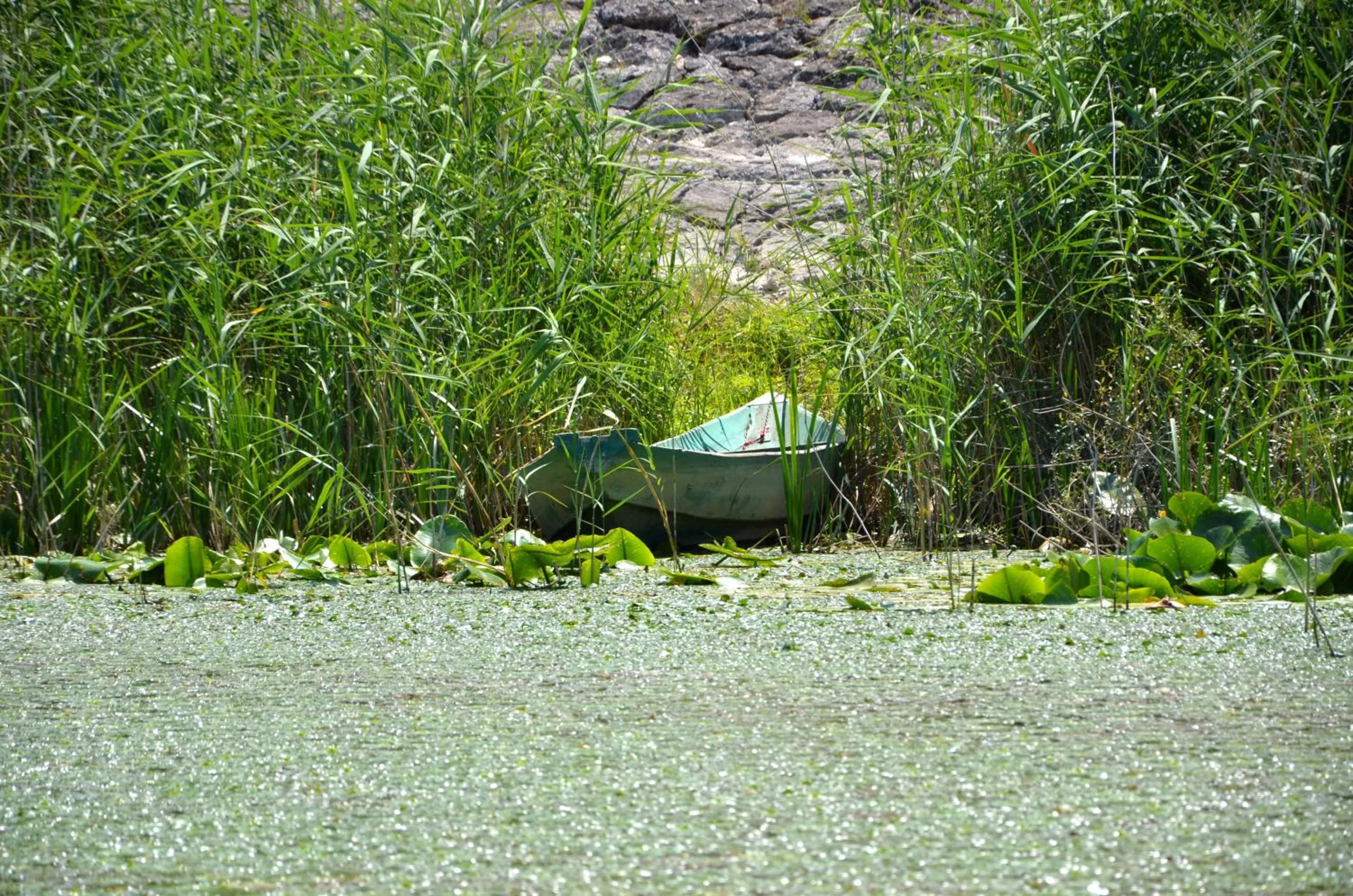Lake view in Hotel Pelikan