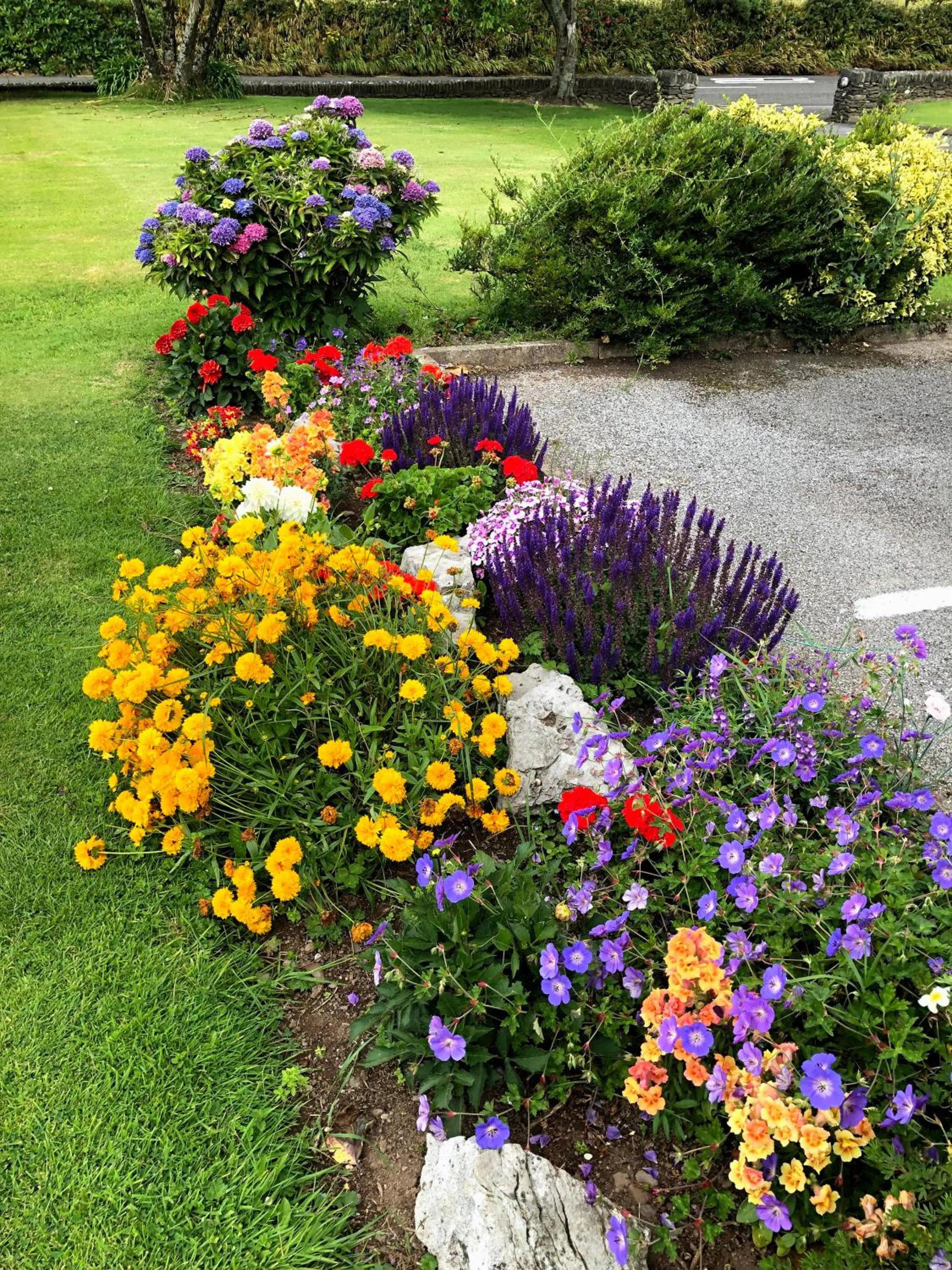 Garden in Duinin House