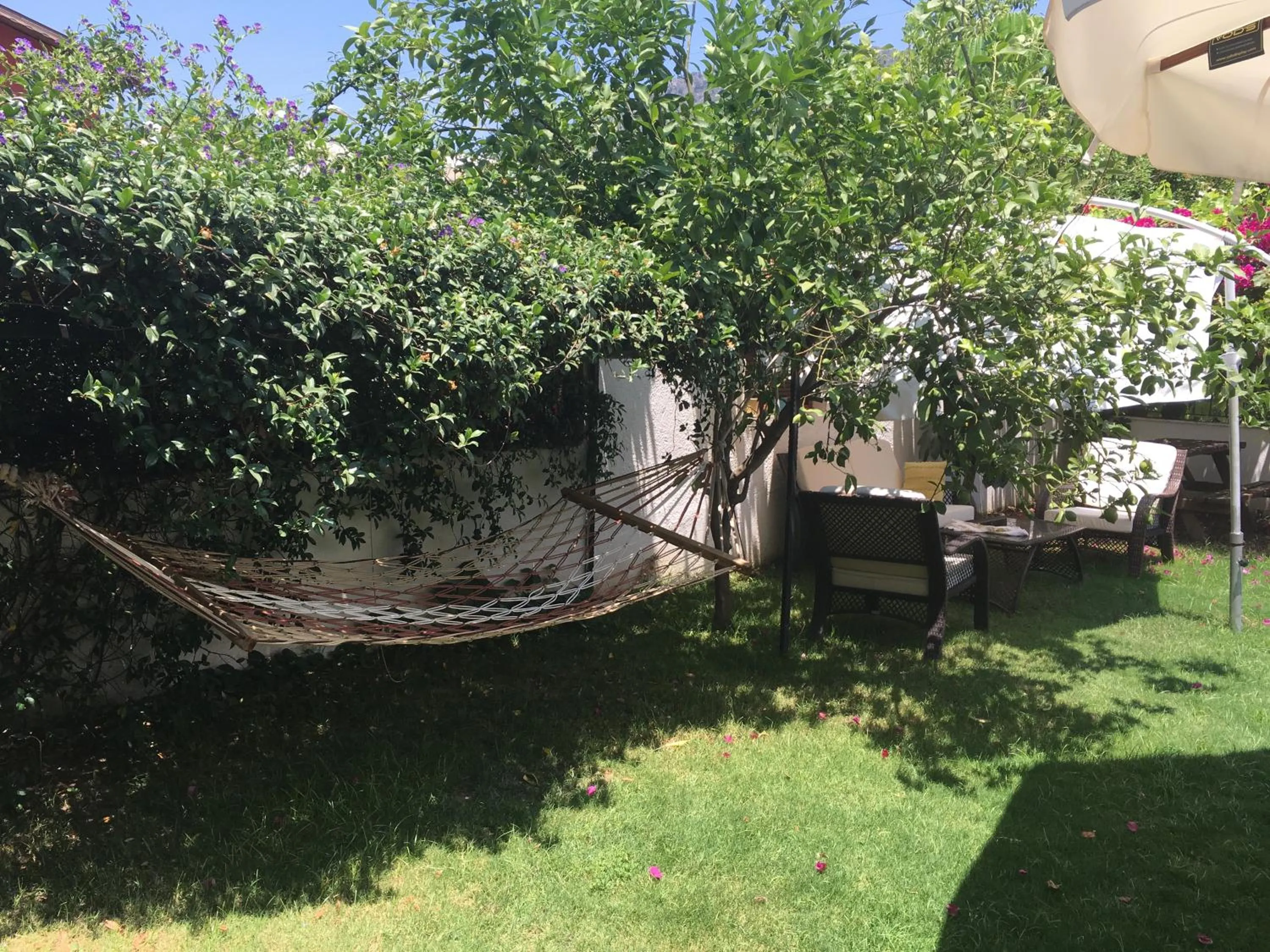 Garden view in Kybele Hotel Gocek