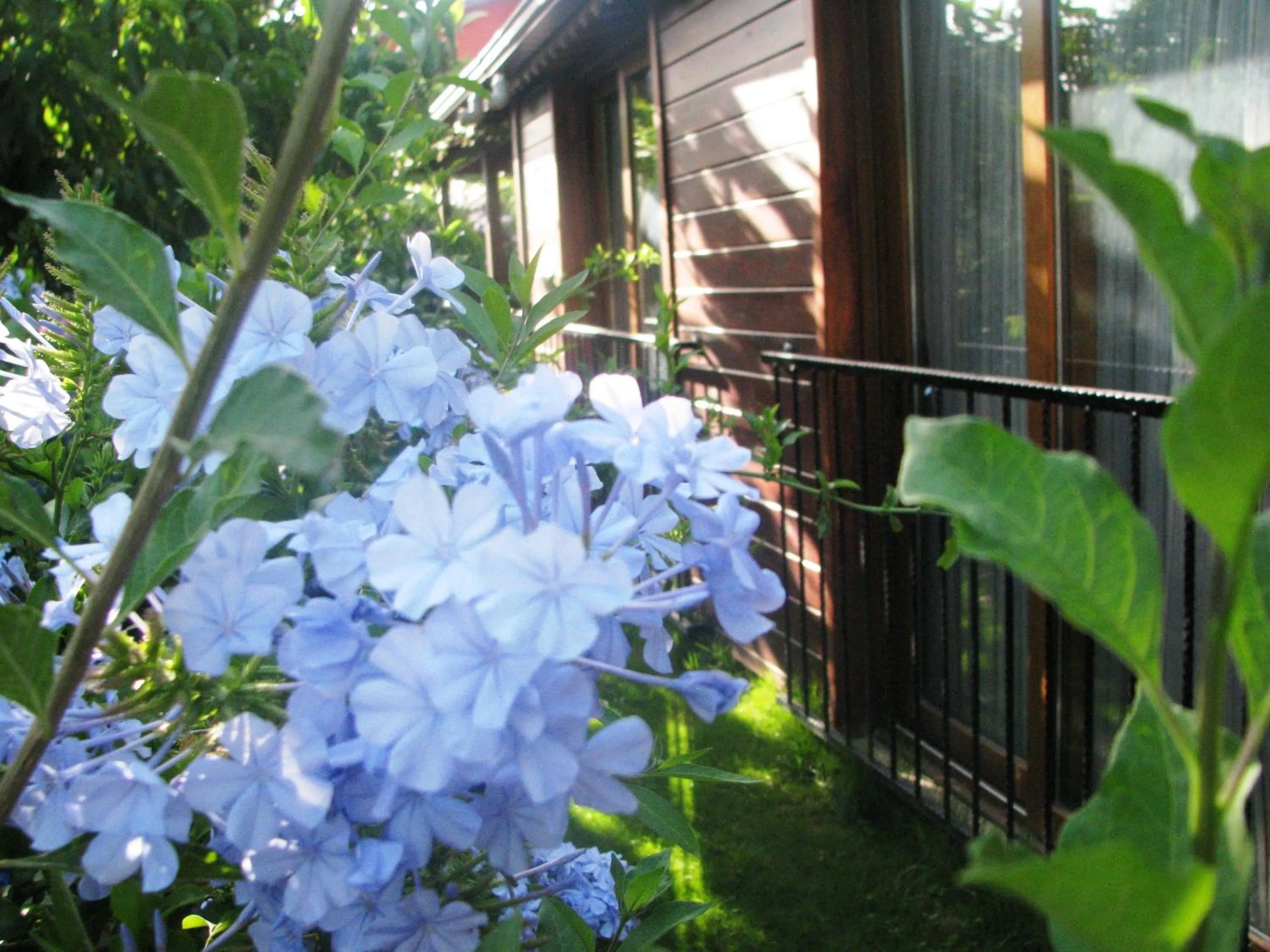 Garden in Kybele Hotel Gocek