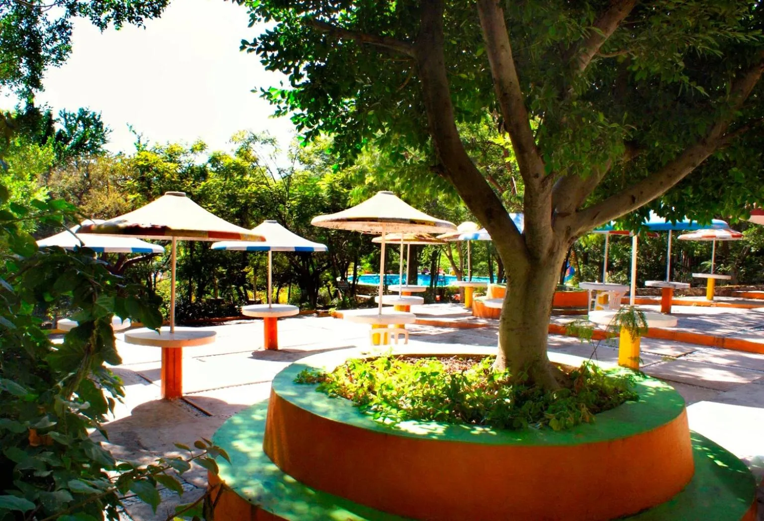 Area and facilities in Hotel Piedras de Sol Solaris Morelos