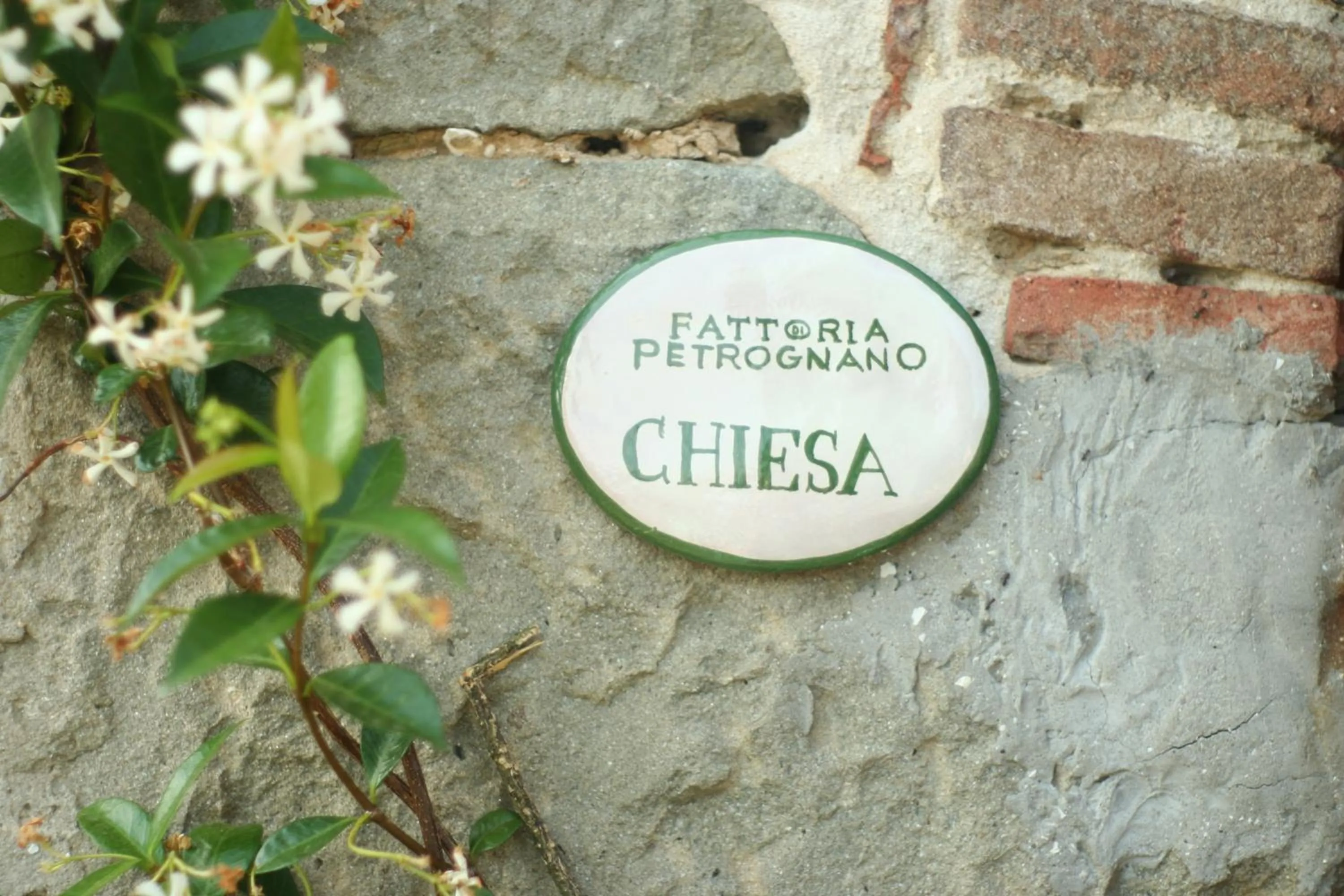 Fattoria Gambaro di Petrognano