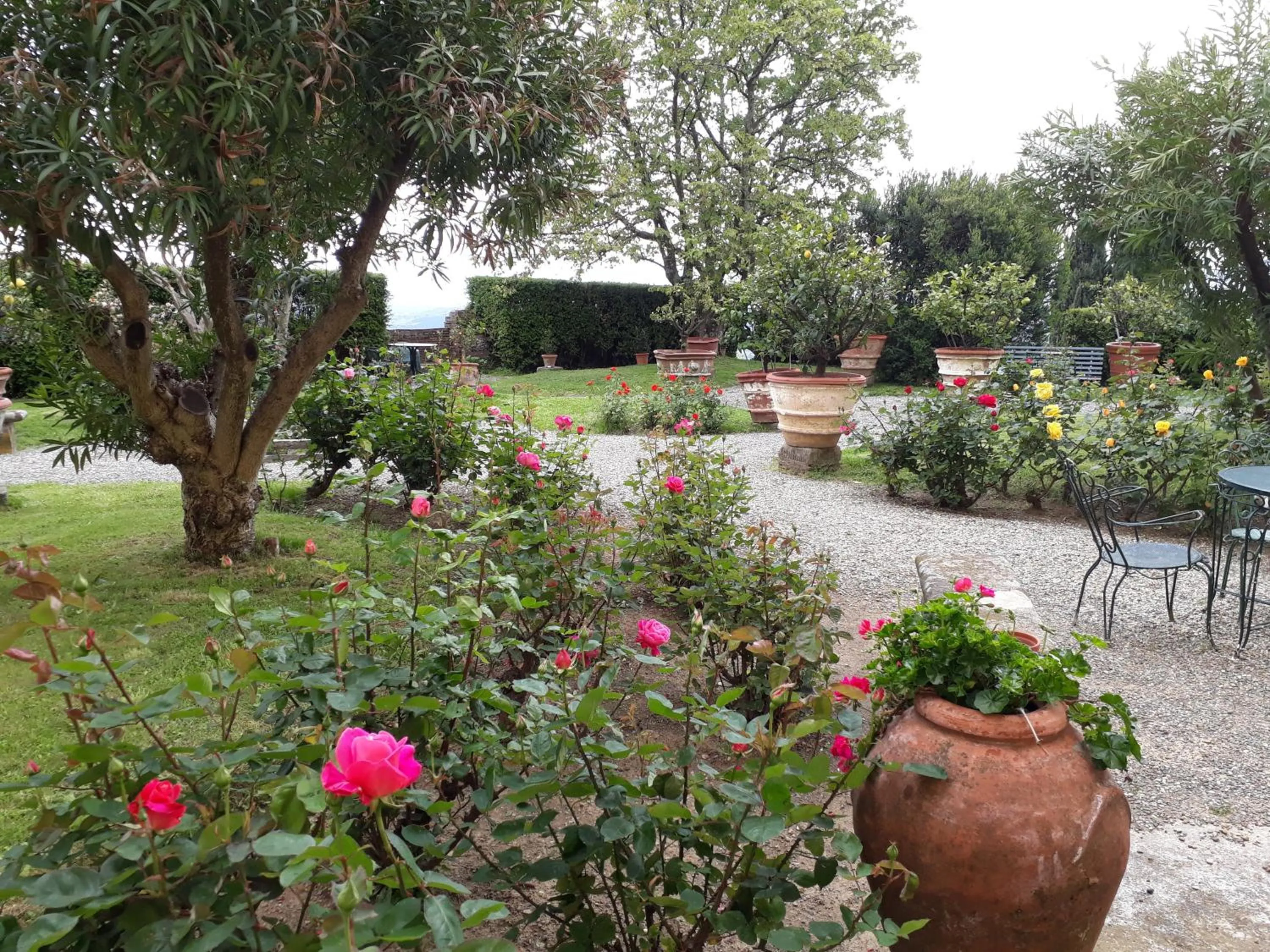 Fattoria Gambaro di Petrognano