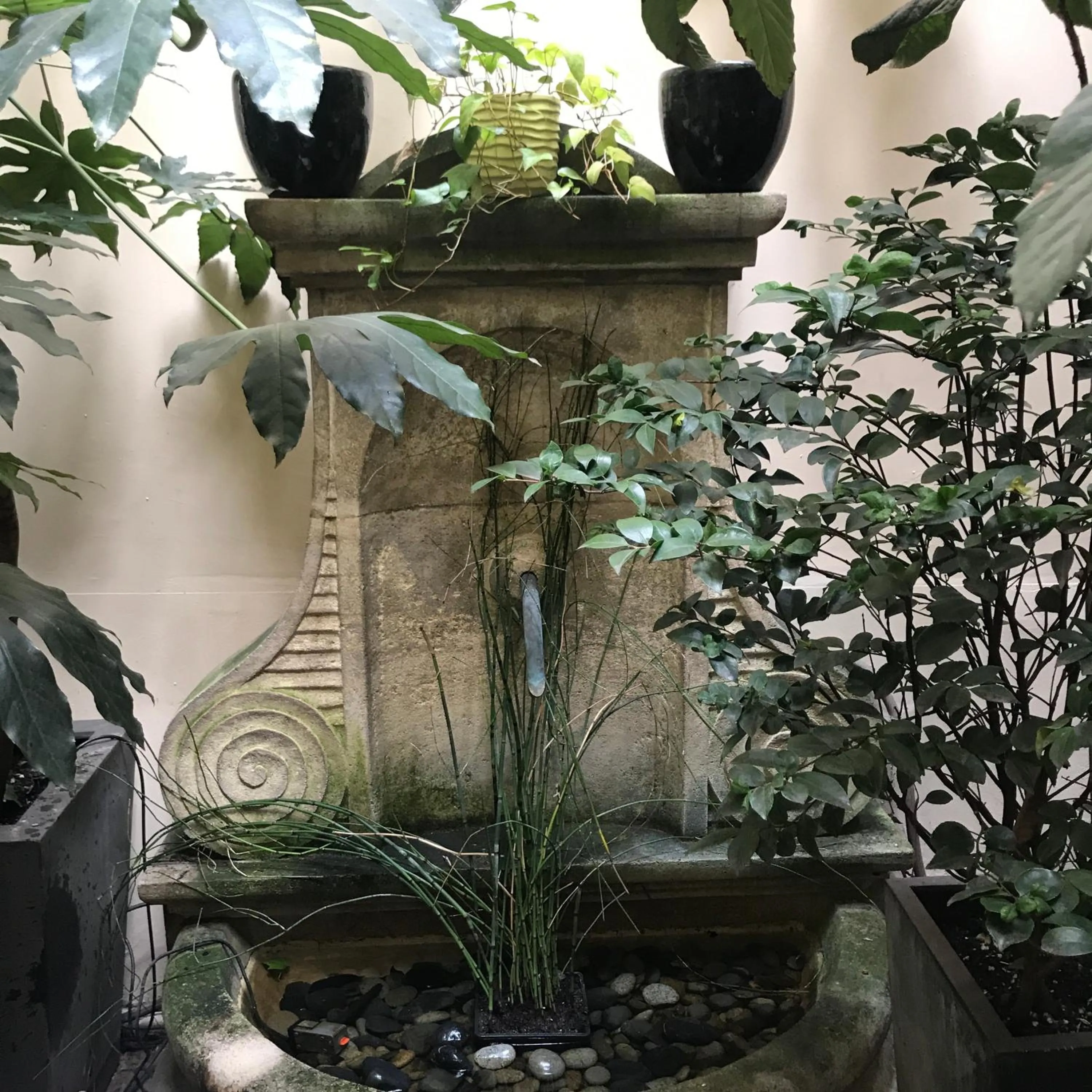 Balcony/Terrace in Hôtel Recamier
