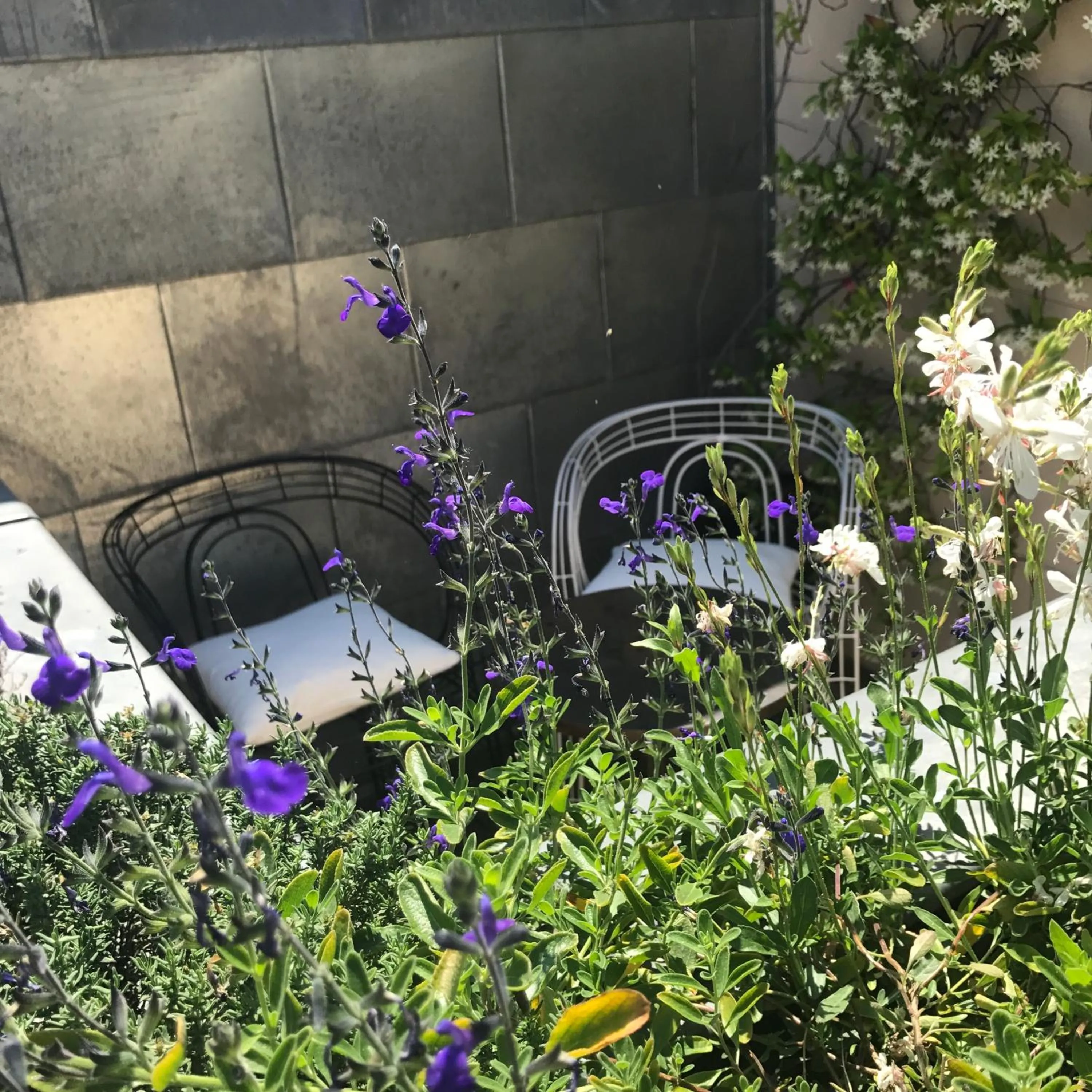 Balcony/Terrace in Hôtel Recamier