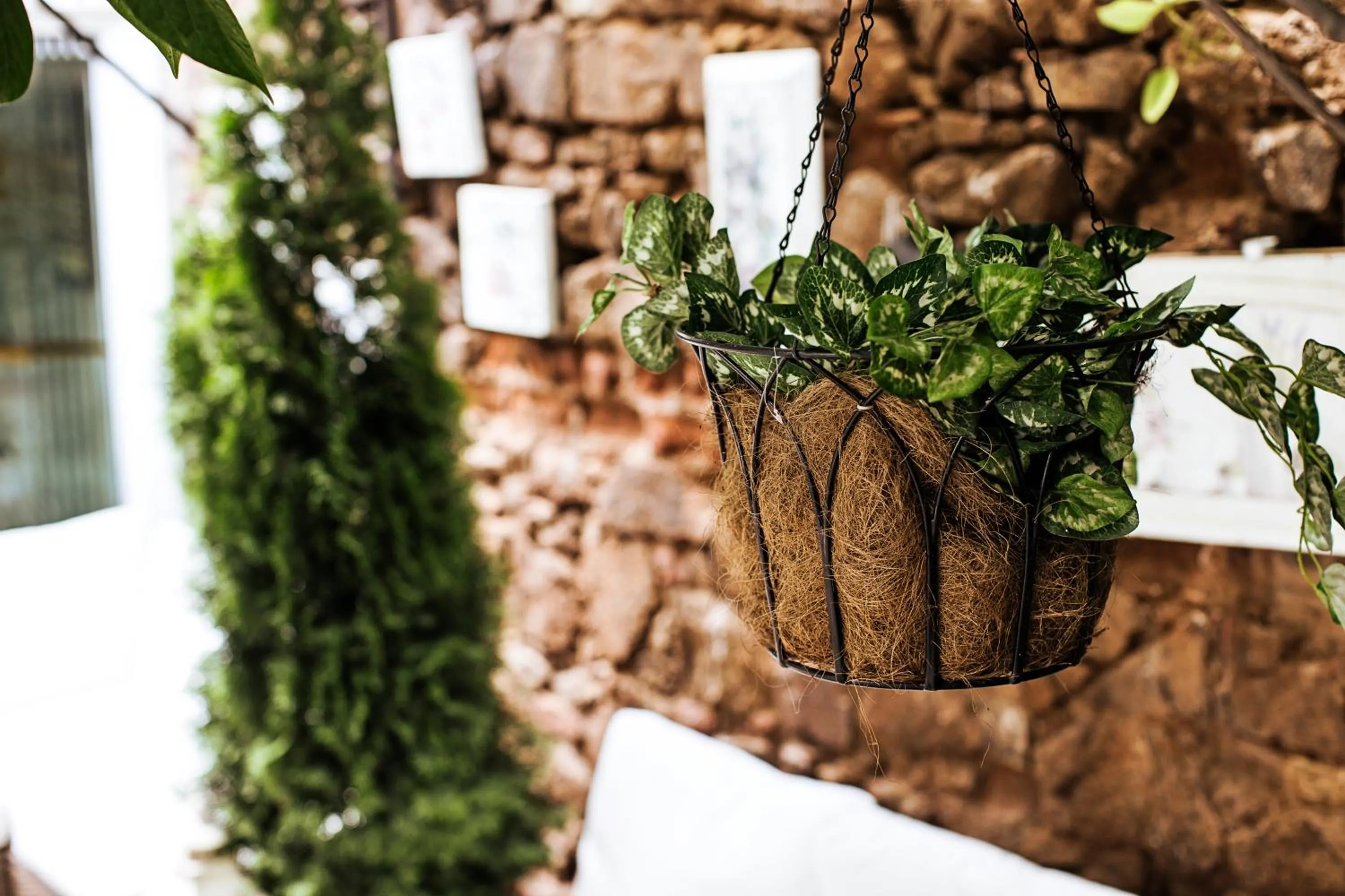 Garden in Ada Palas Buyukada