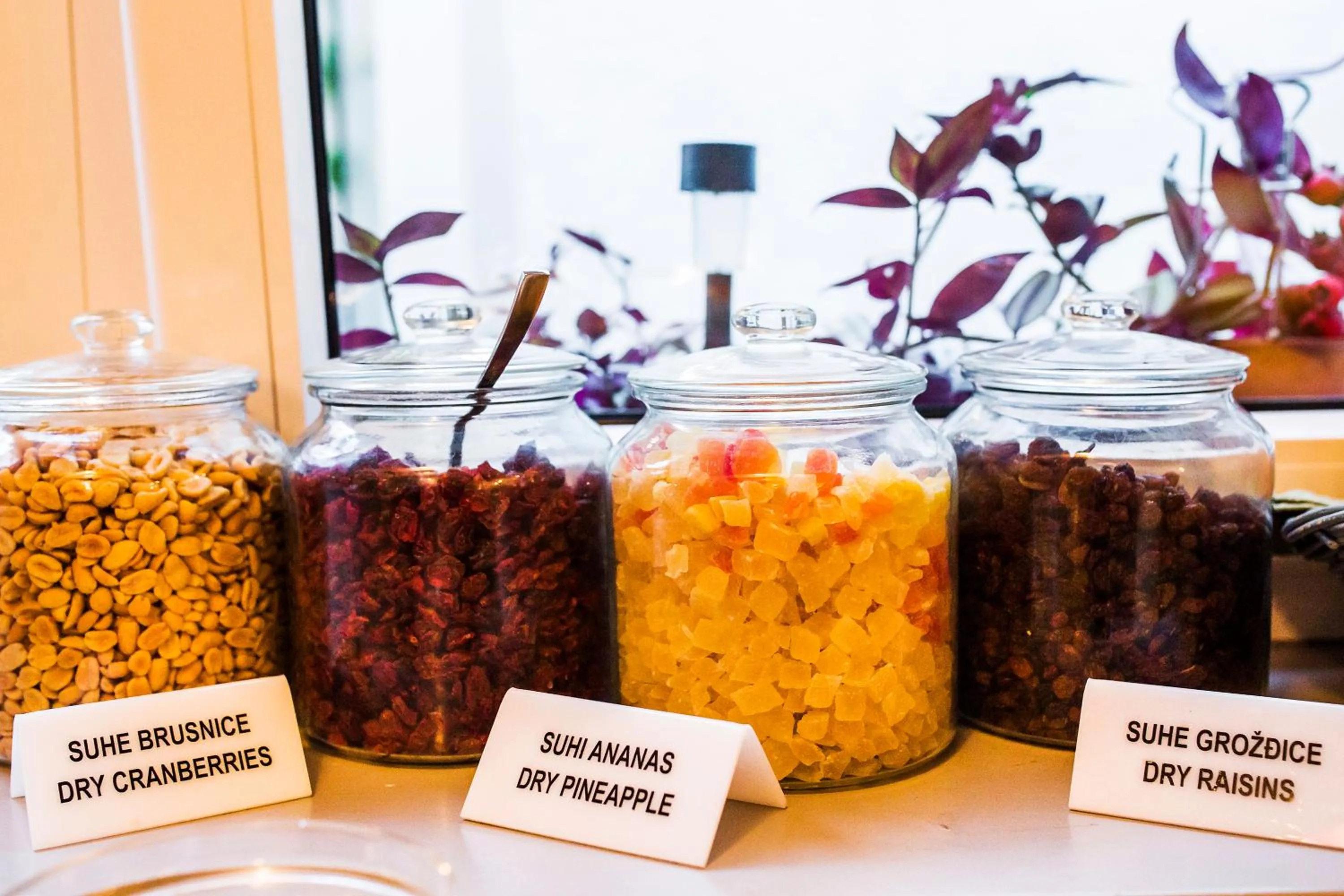 Breakfast in Garden Hotel