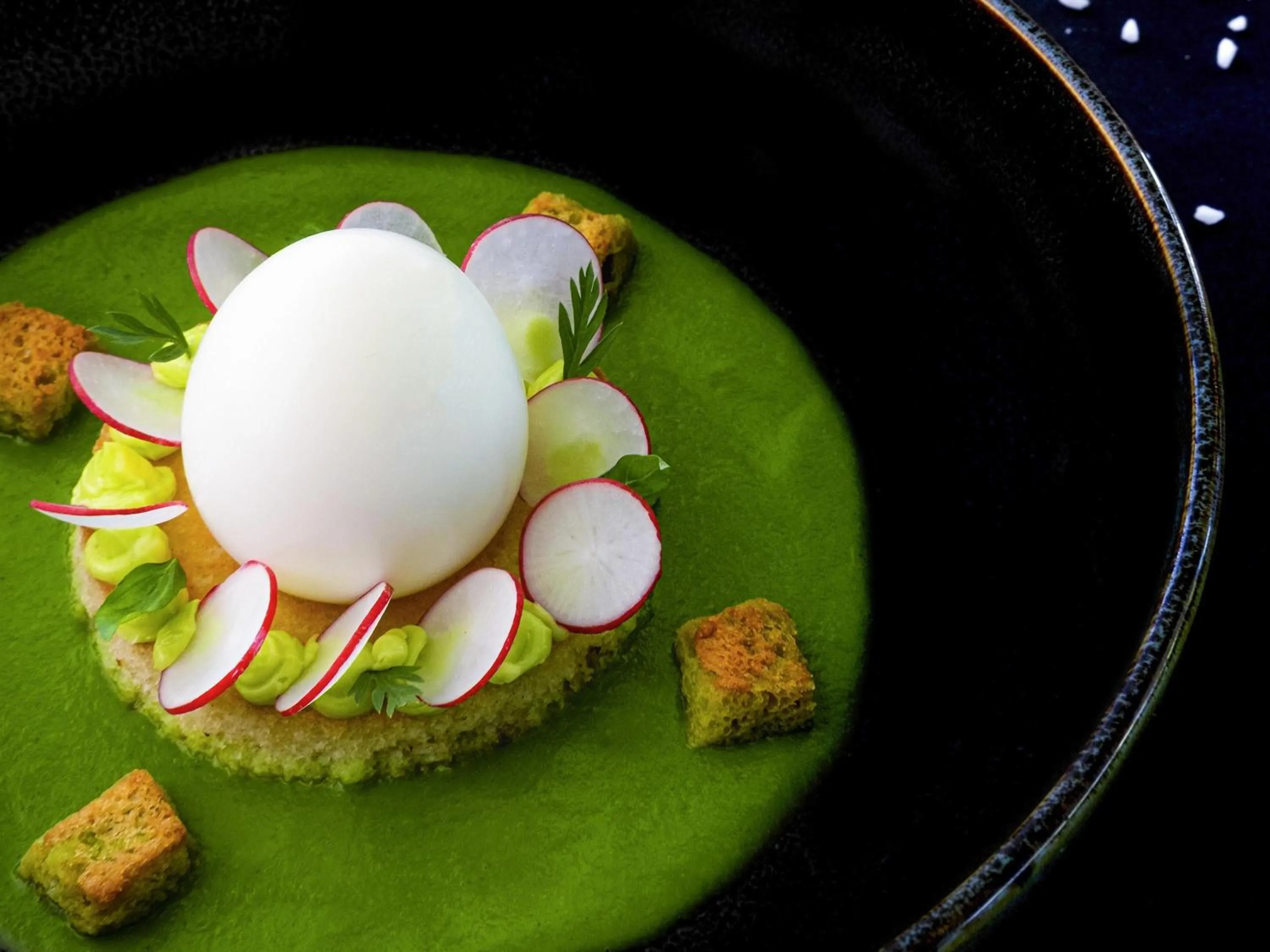 Restaurant/places to eat in Sofitel Lyon Bellecour