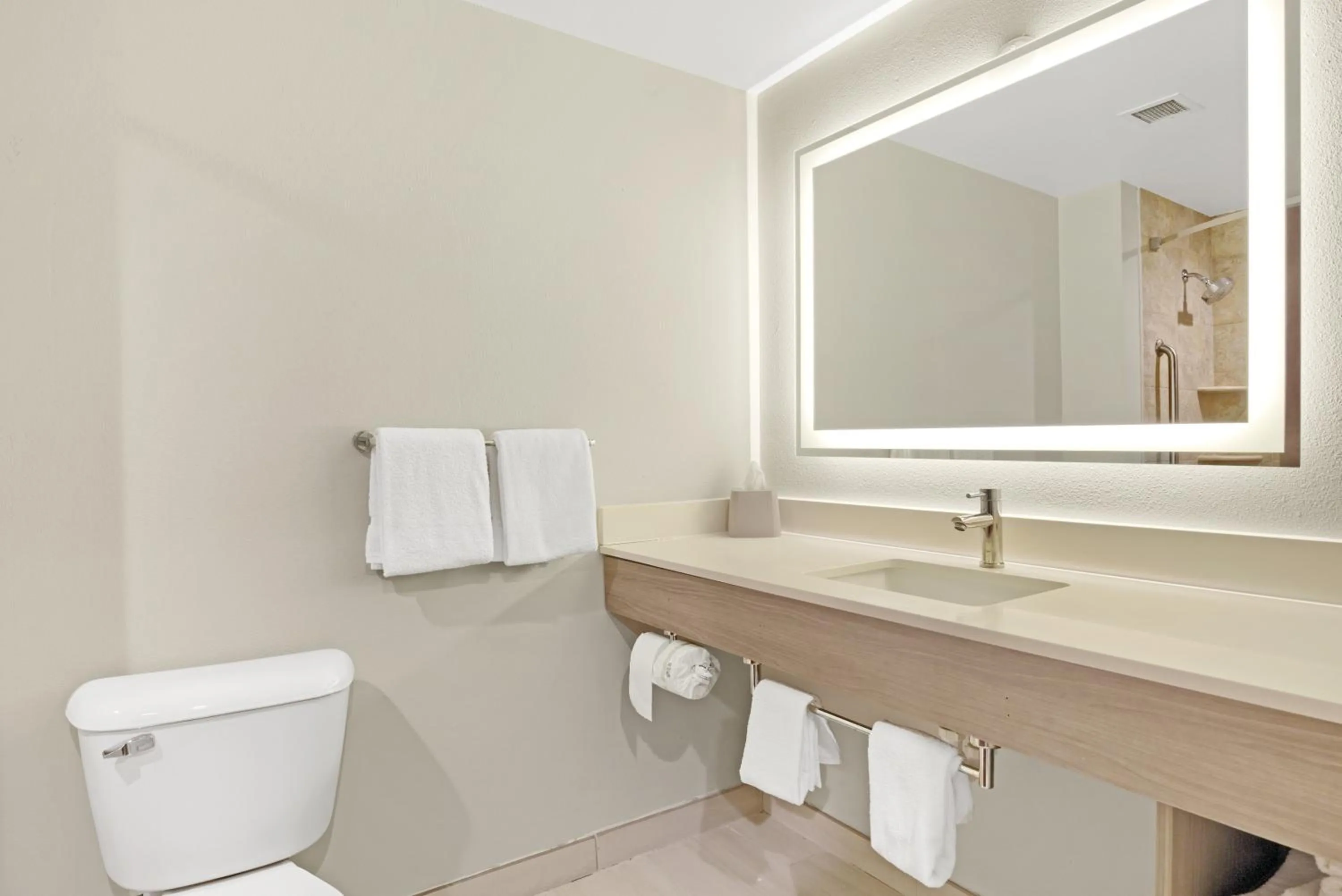 Bathroom in Holiday Inn Express - Gulfport Beach by IHG