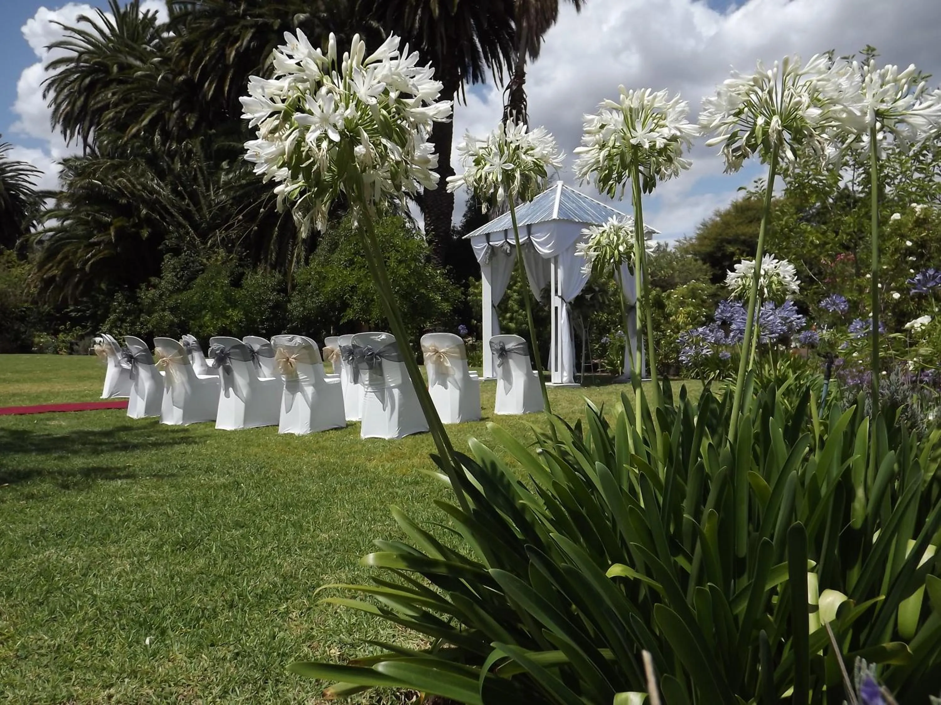 Garden in B&B Sauvignon Country Lodge