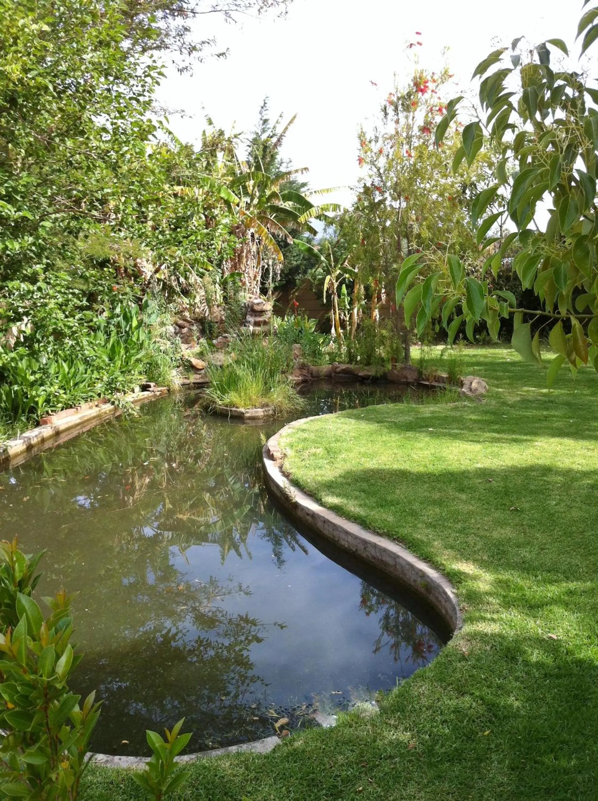 B&B Sauvignon Country Lodge