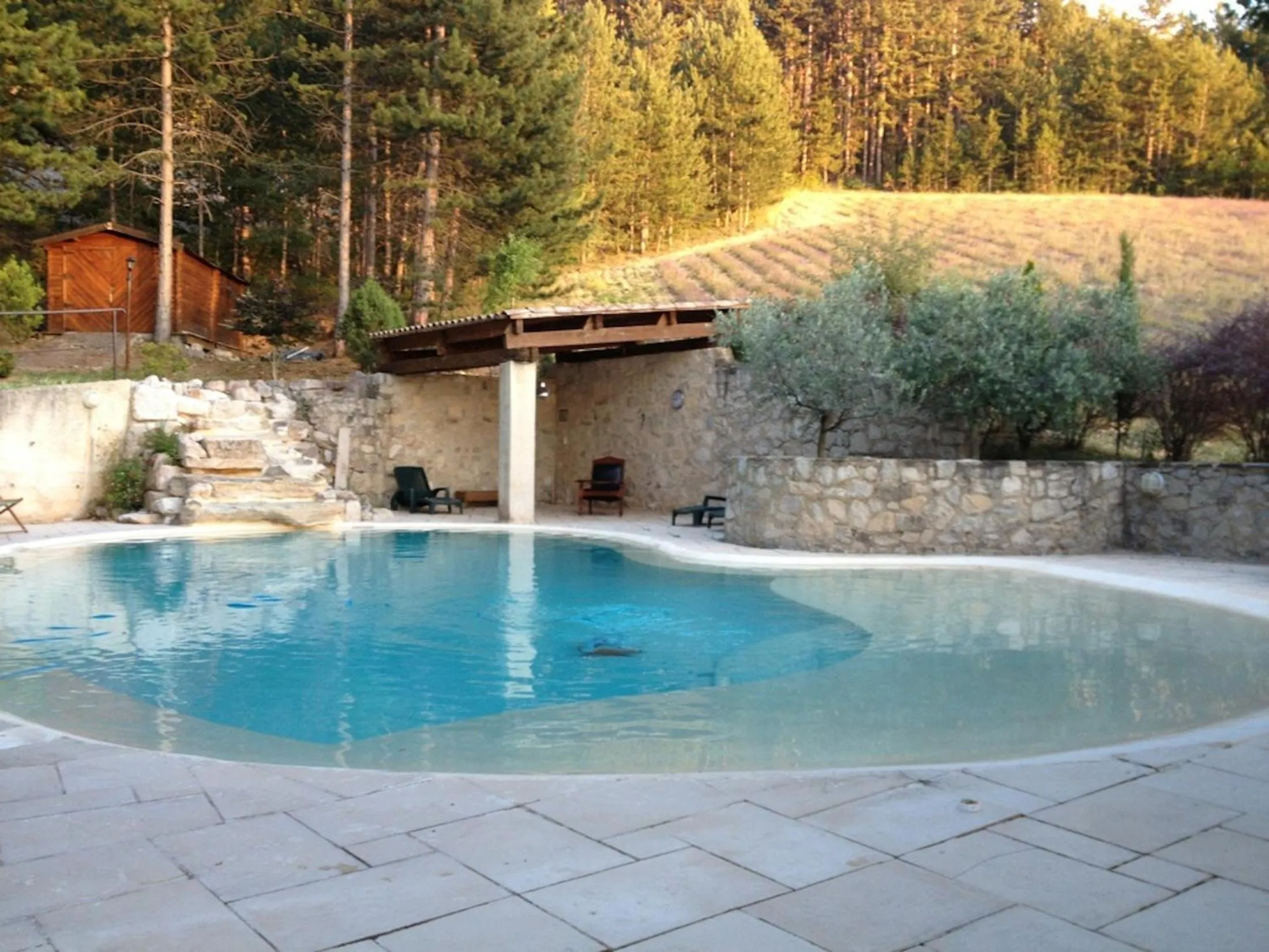 Pool view in B&B Le Deffends de Redon