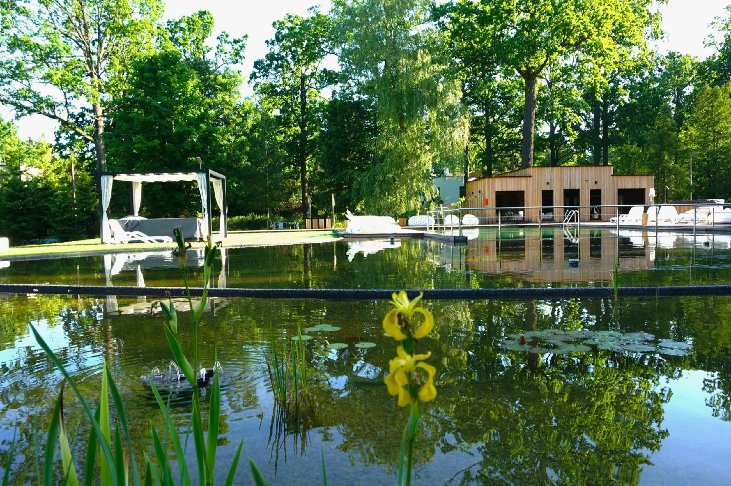 Swimming pool in Enklawa Białowieska Forest & Spa