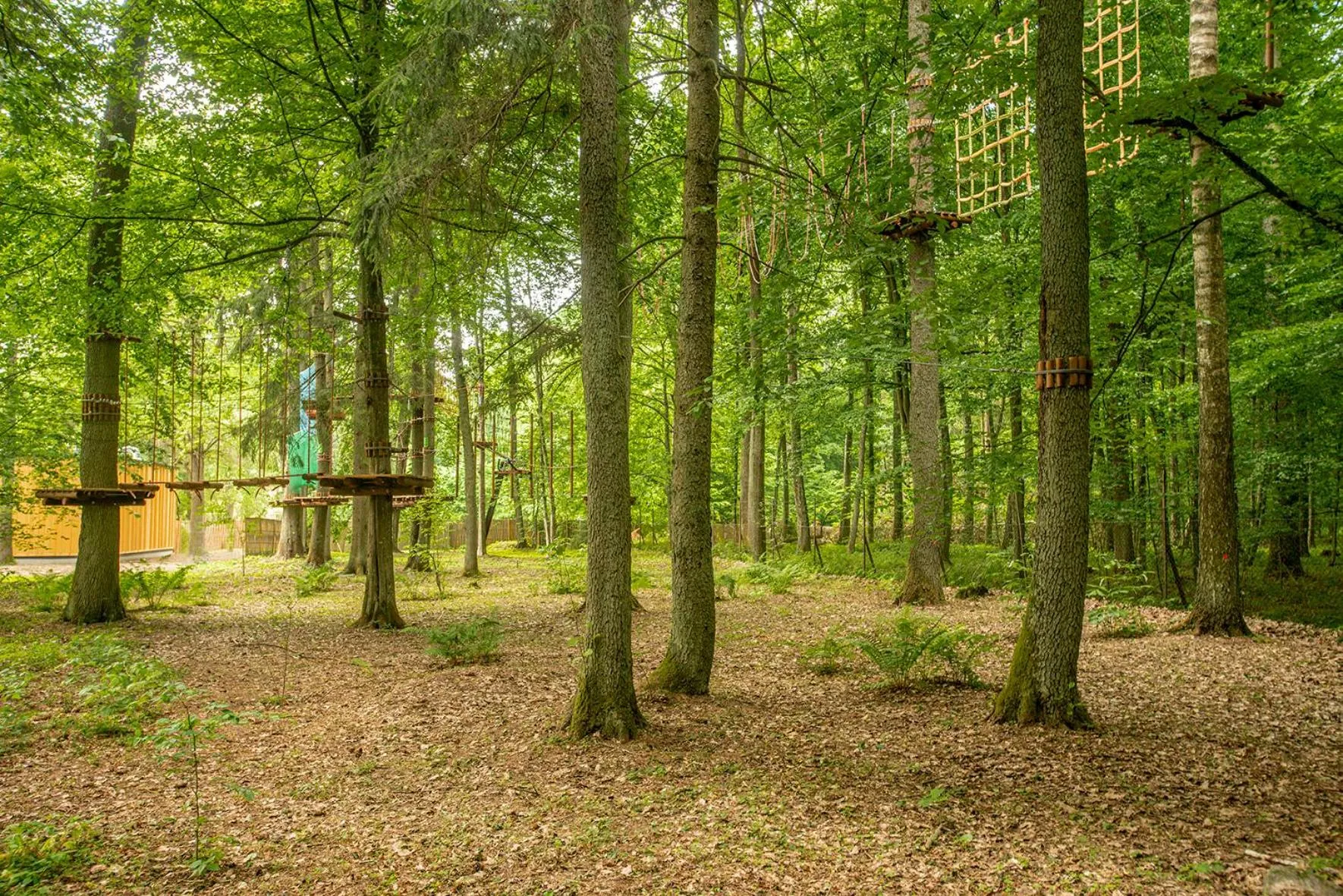 Sports in Enklawa Białowieska Forest & Spa