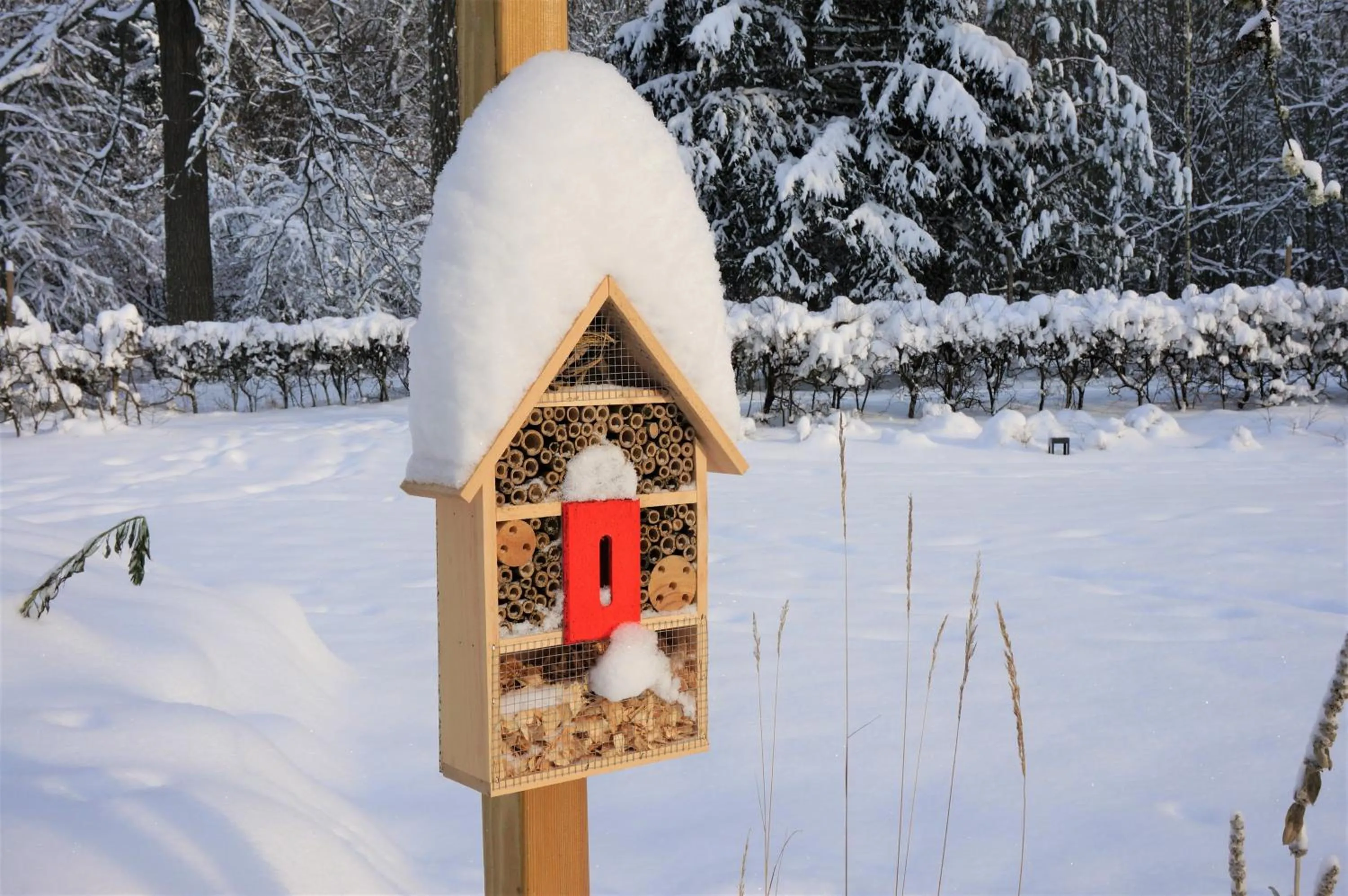 Natural landscape in Enklawa Białowieska Forest & Spa