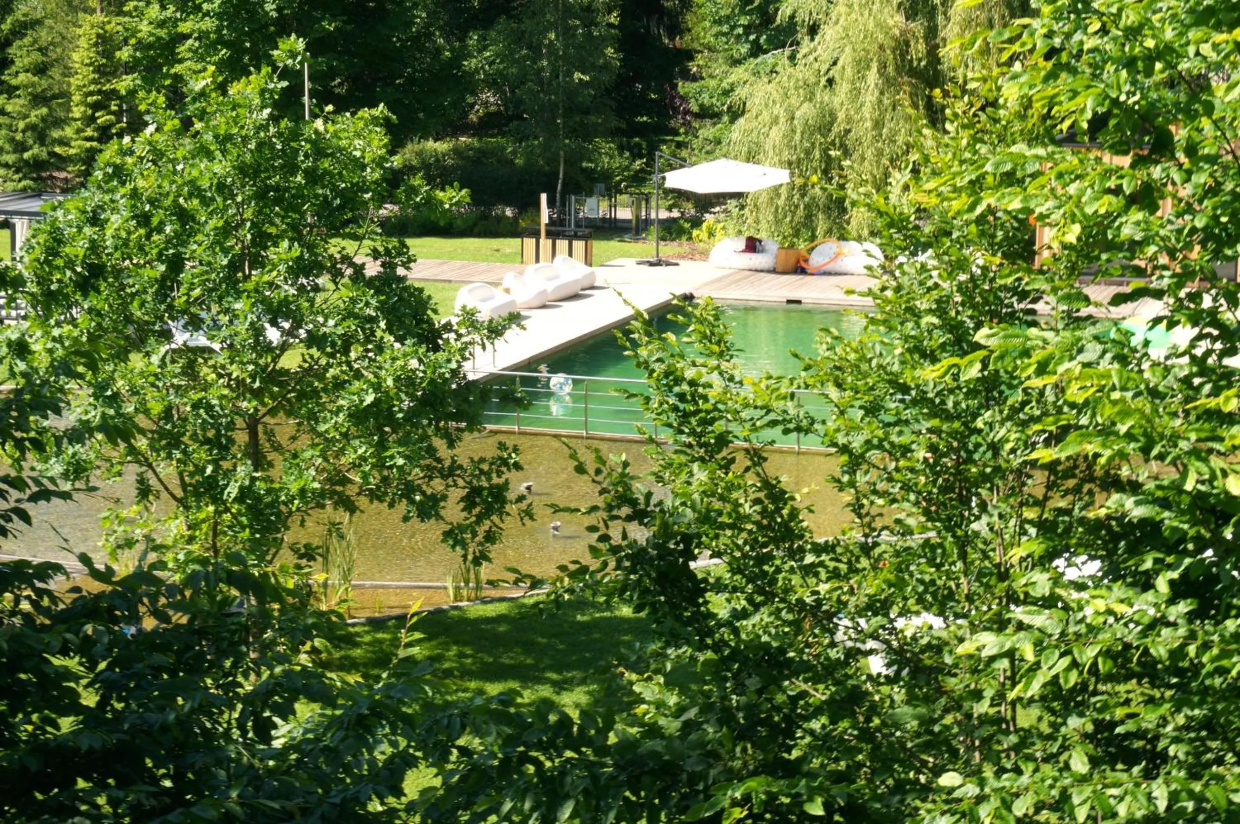 Swimming pool in Enklawa Białowieska Forest & Spa