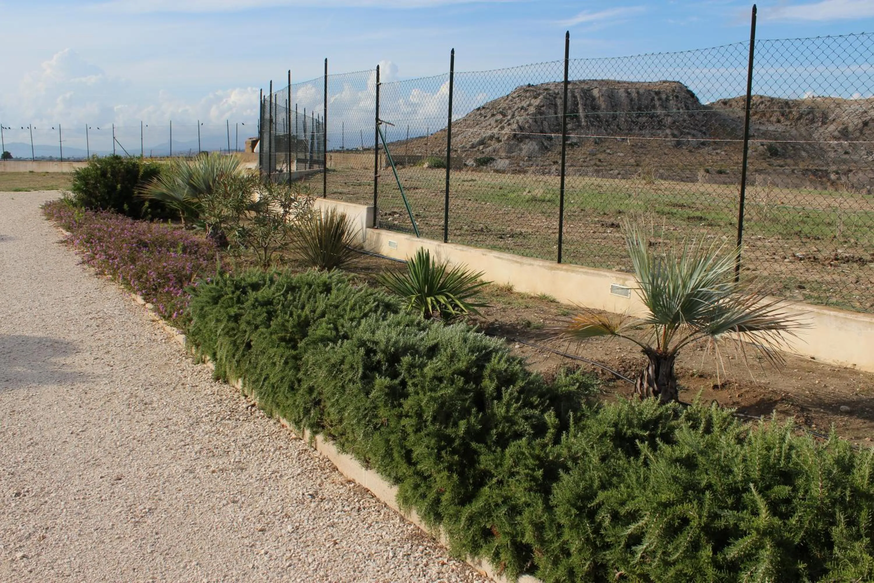 Garden view in B&B L'EDEN DI CAPO BIANCO