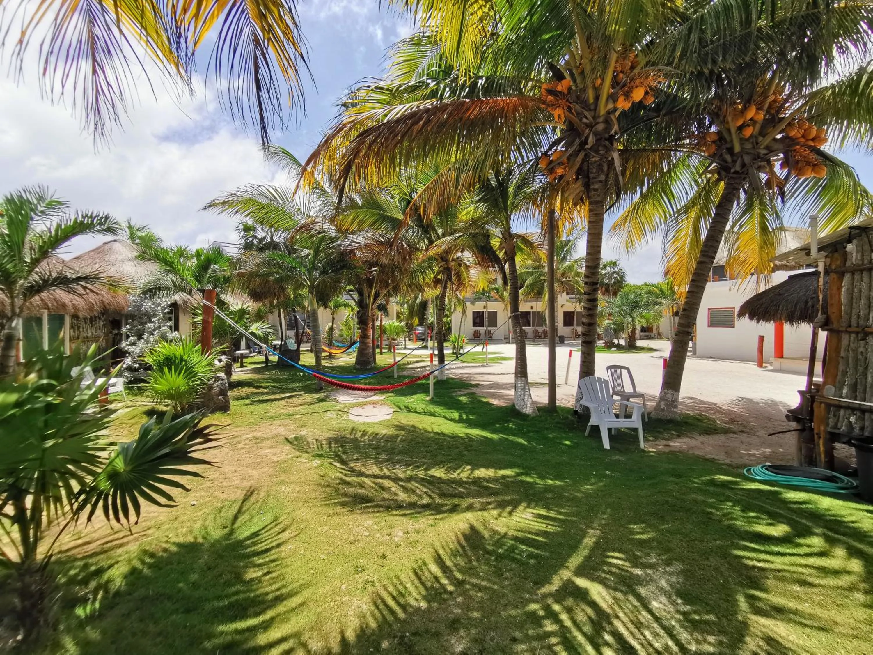 Garden in Las Cabañas del Doctor