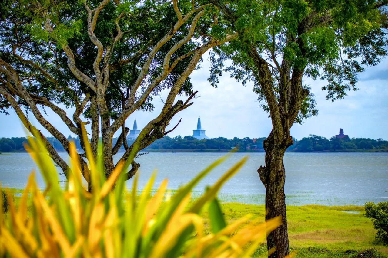 Natural landscape in The Lake Forest Hotel