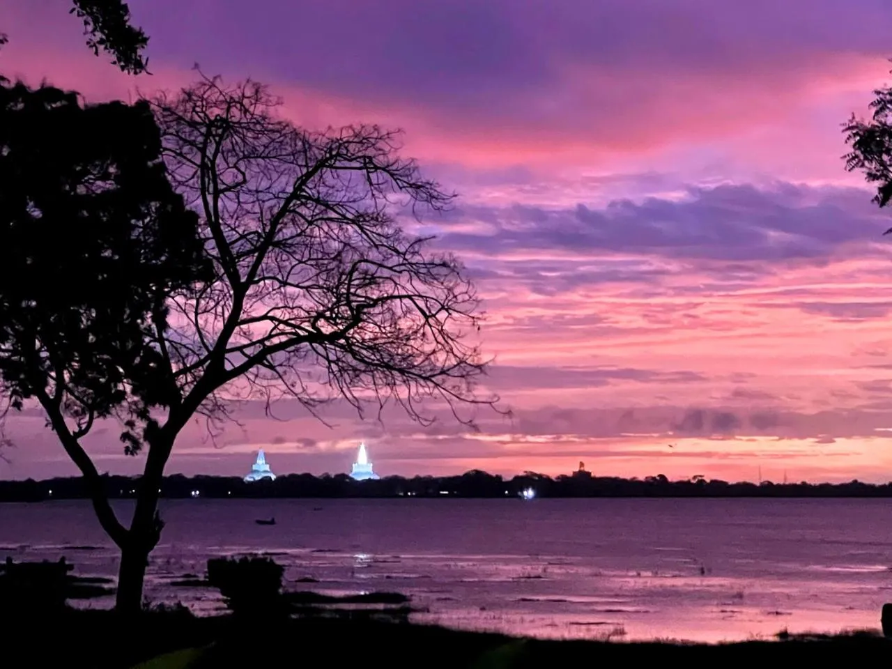 Natural landscape in The Lake Forest Hotel