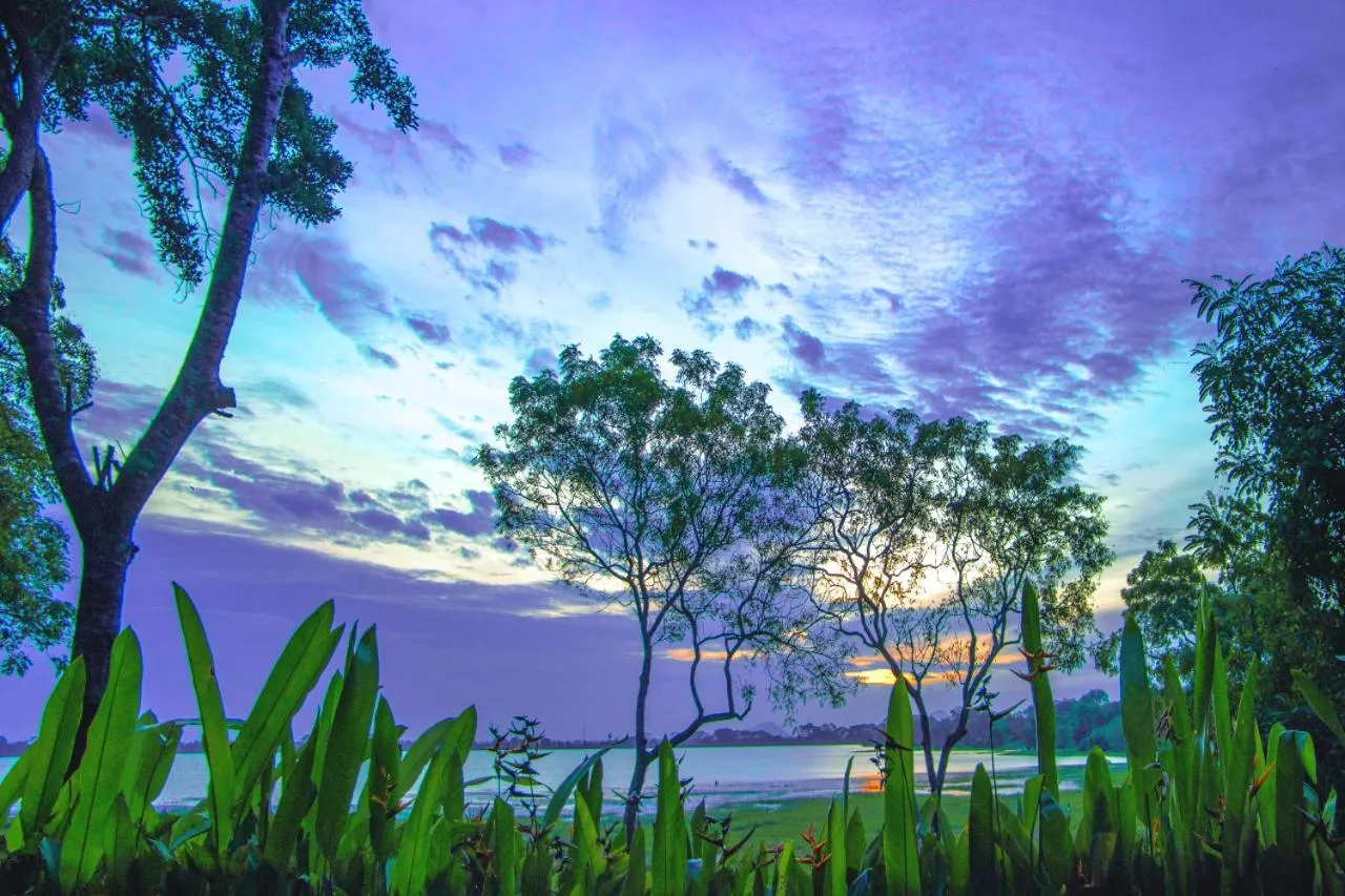 Natural landscape in The Lake Forest Hotel