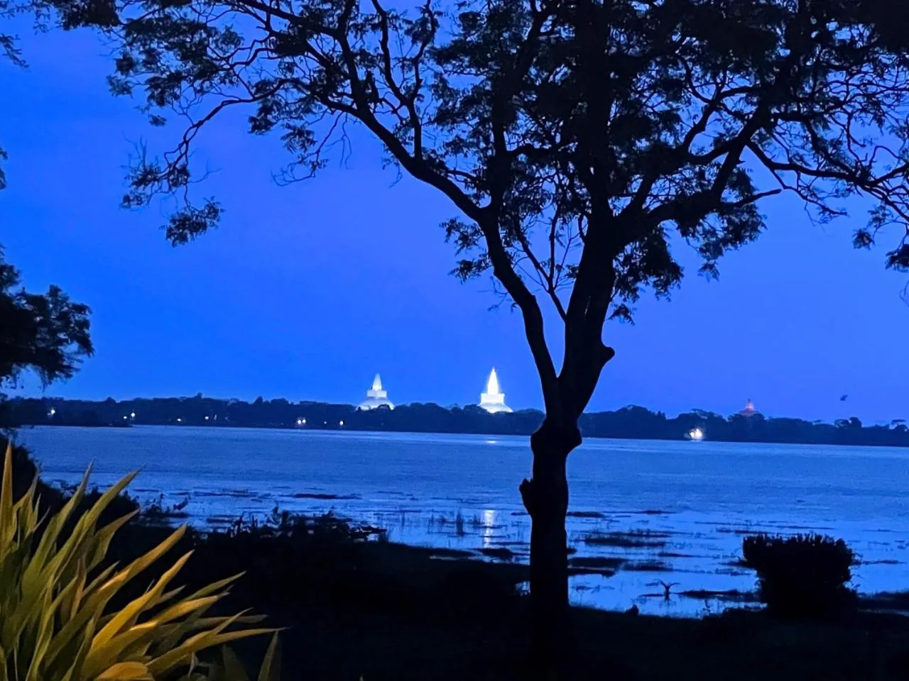 Natural landscape in The Lake Forest Hotel