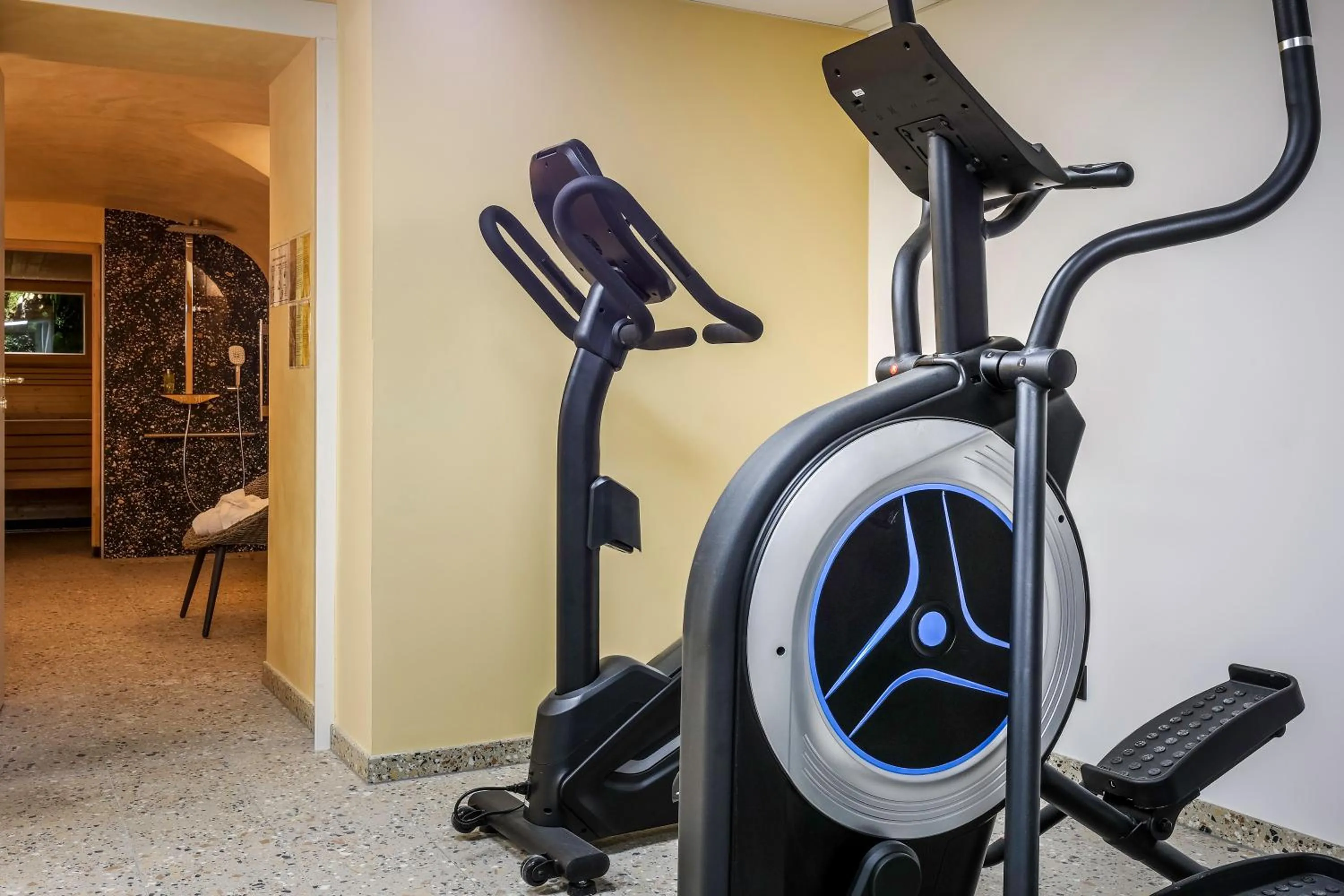 Fitness centre/facilities in Hotel des Vosges BW Premier Collection